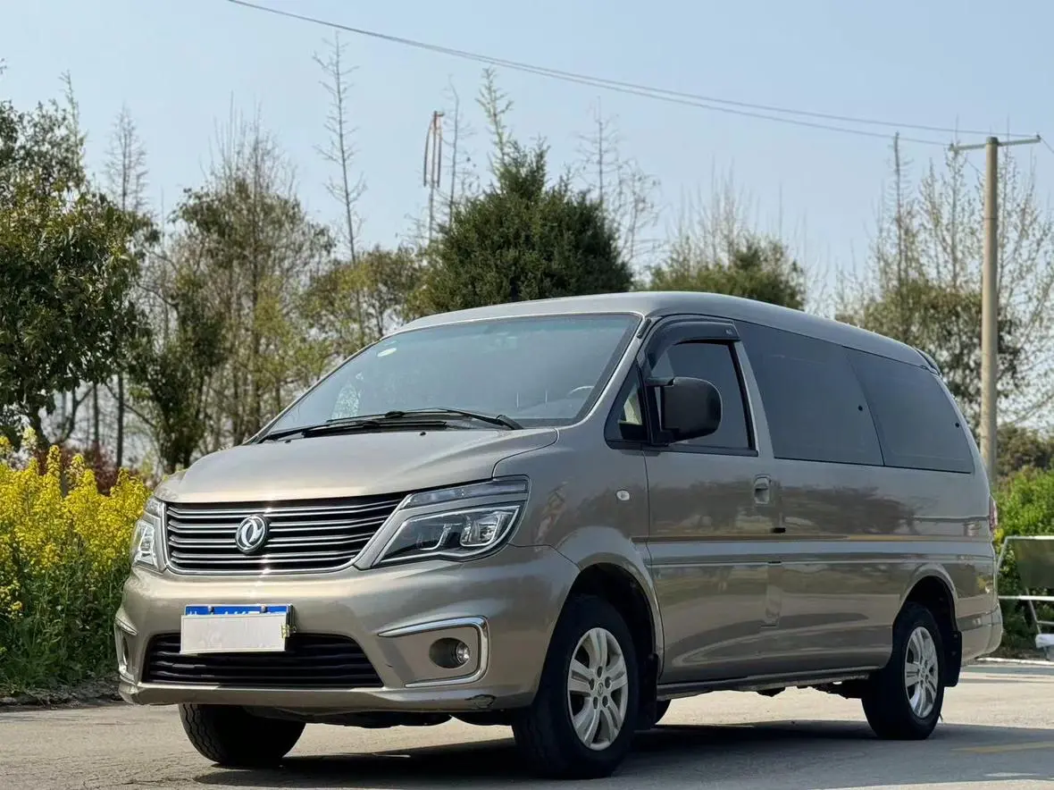 Forthing Lingzhi  из Китая