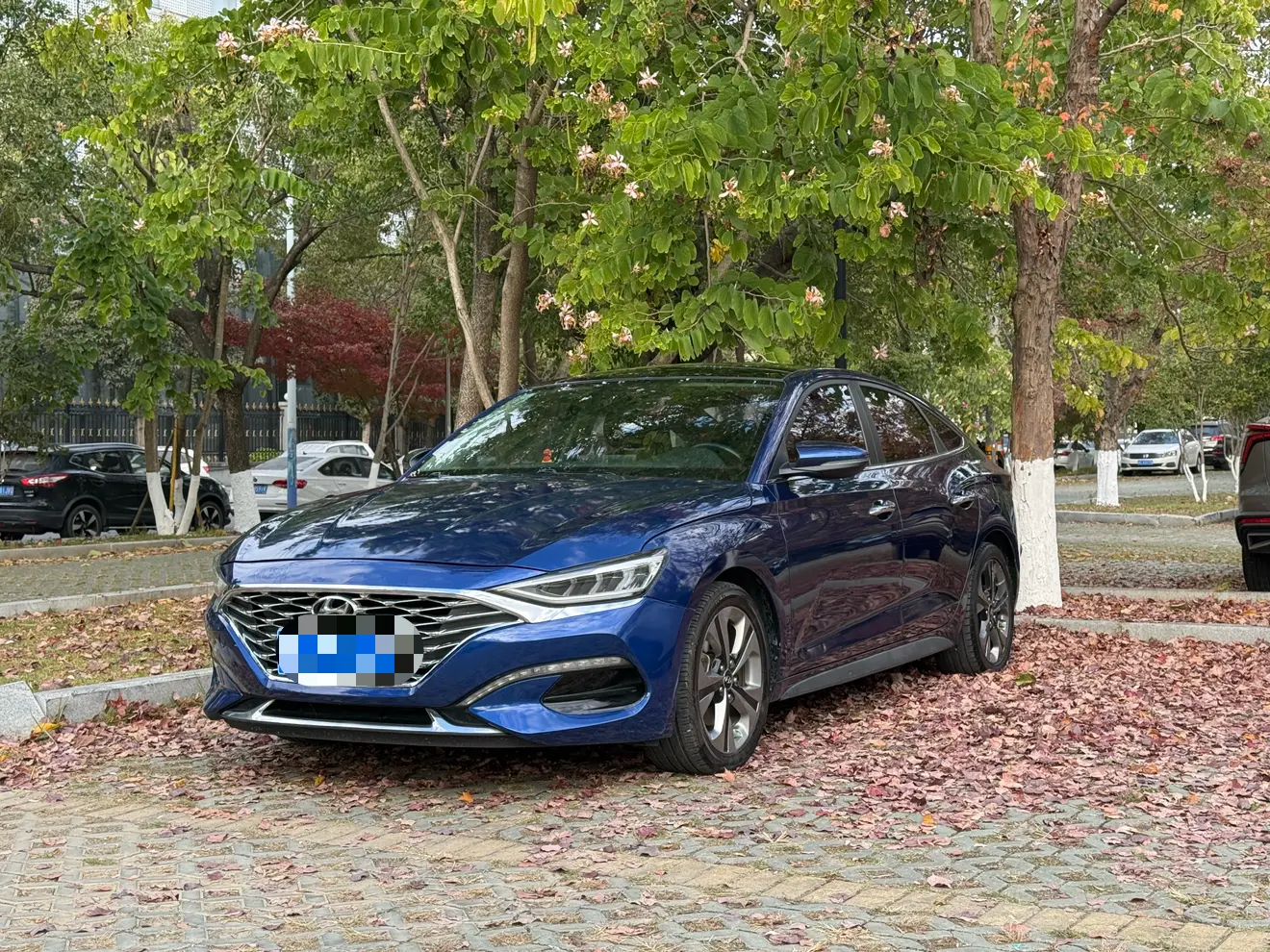 Hyundai Lafesta (Festa)  из Китая