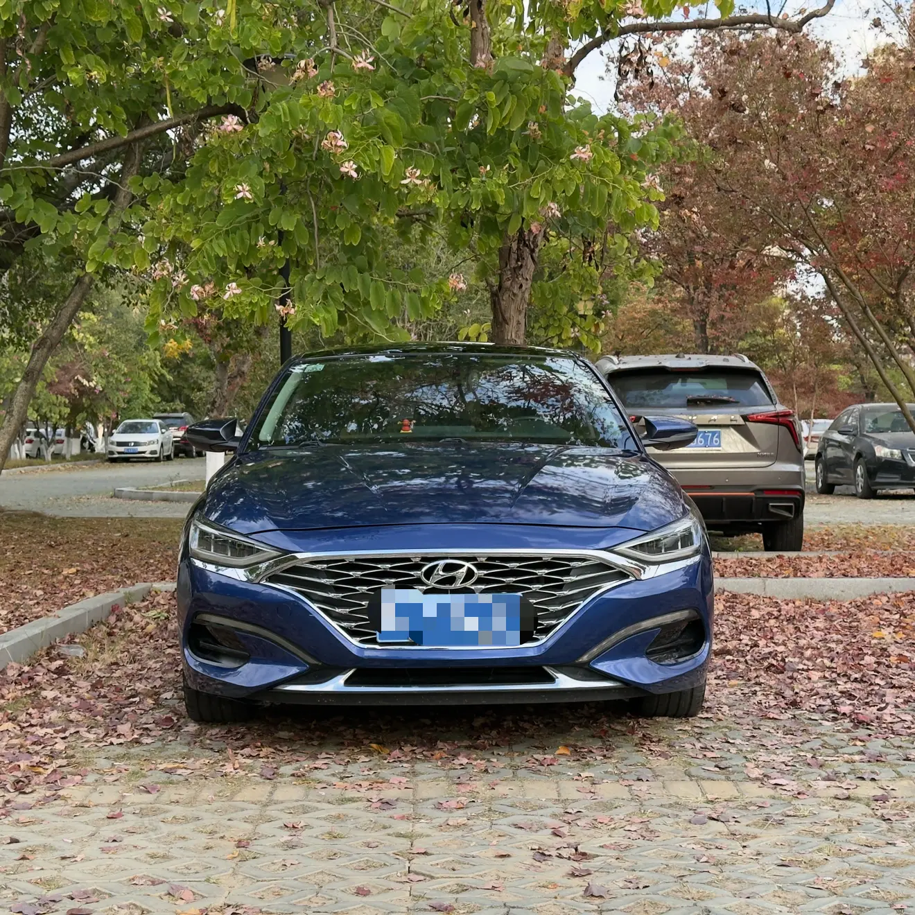 Hyundai Lafesta (Festa)  из Китая