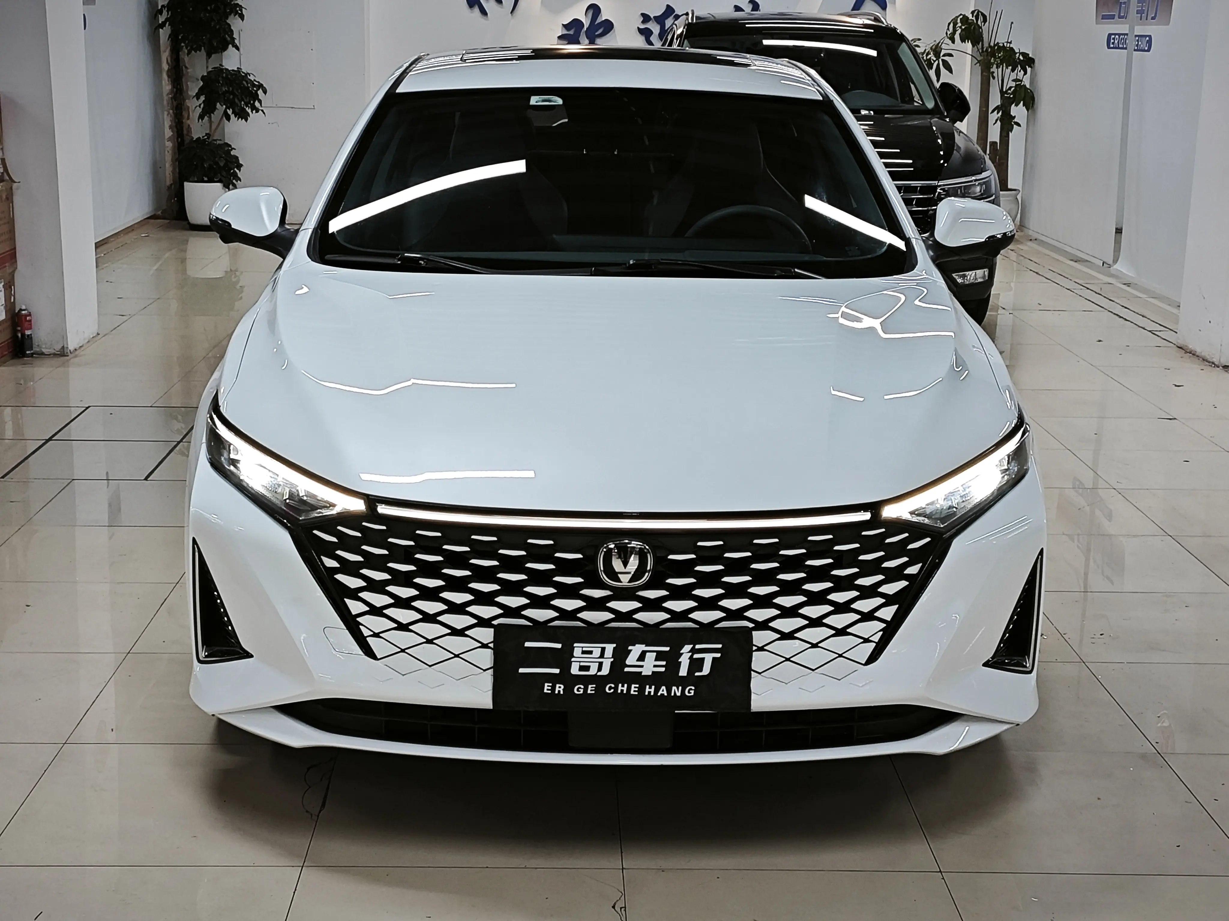 Changan Ruicheng PLUS  из Китая