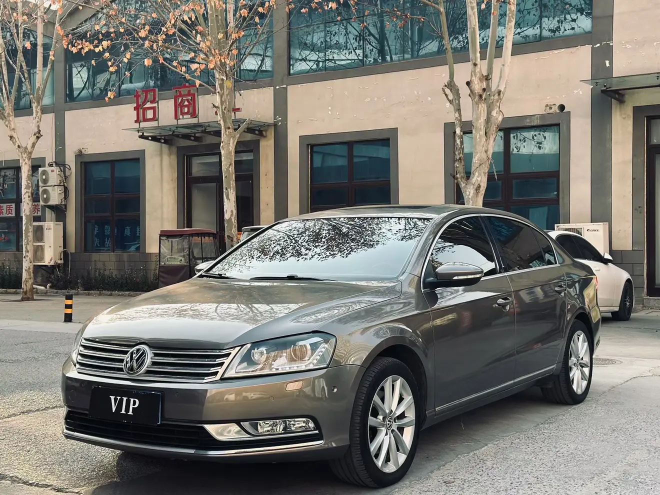 Volkswagen Magotan  из Китая