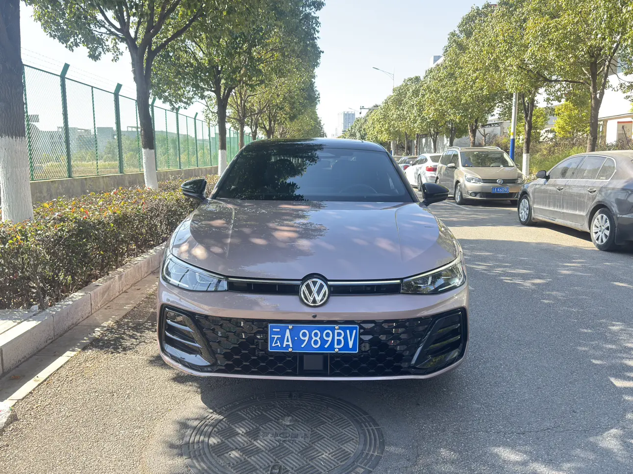 Volkswagen Passat  из Китая