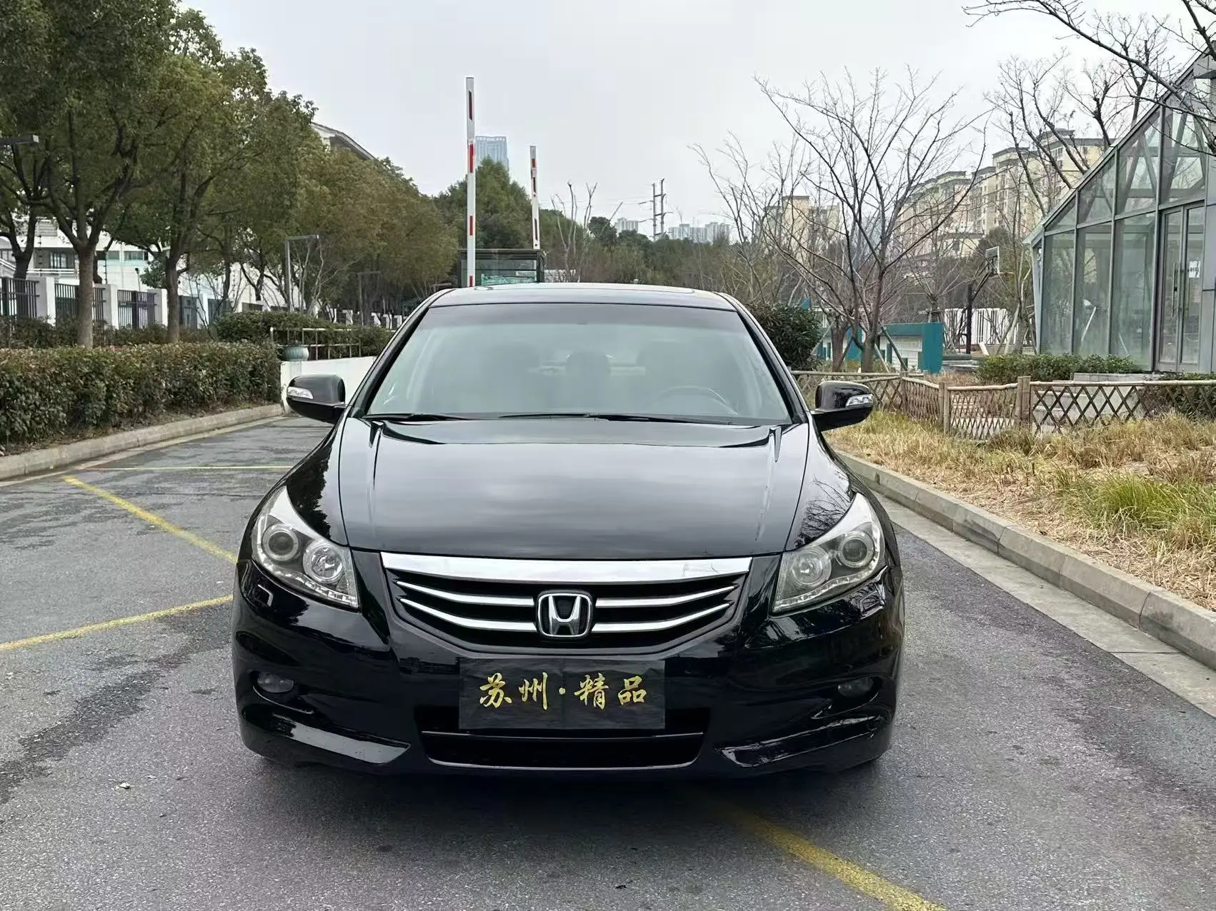 Honda Accord  из Китая