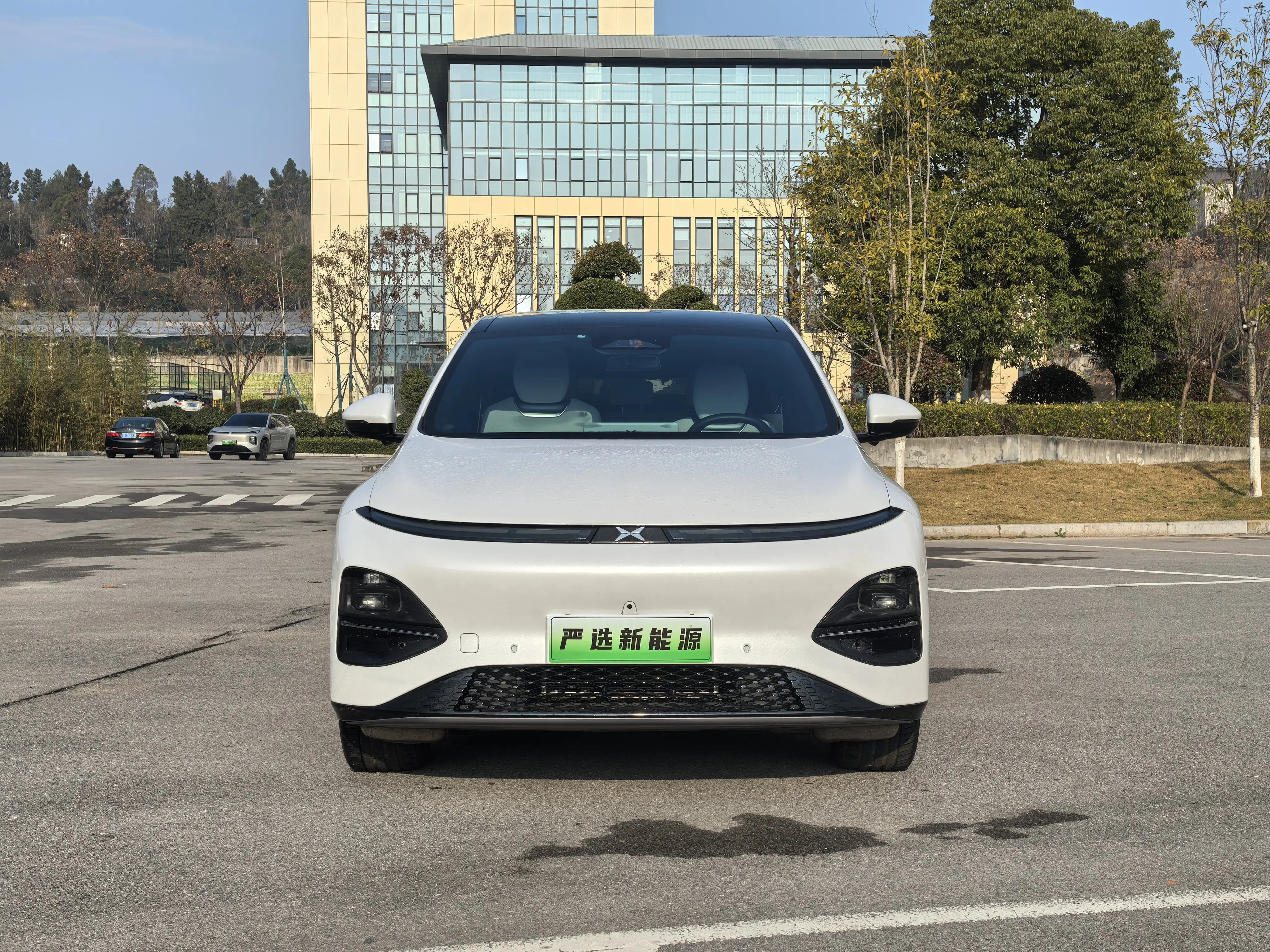 Xpeng G6  из Китая