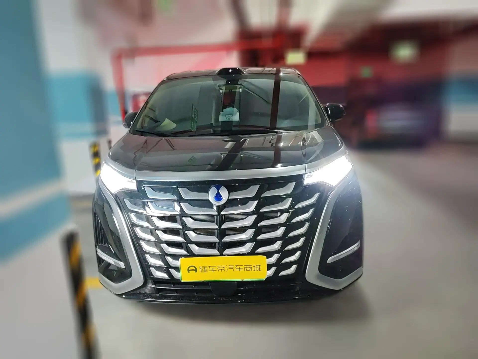 Denza D9 DM  из Китая