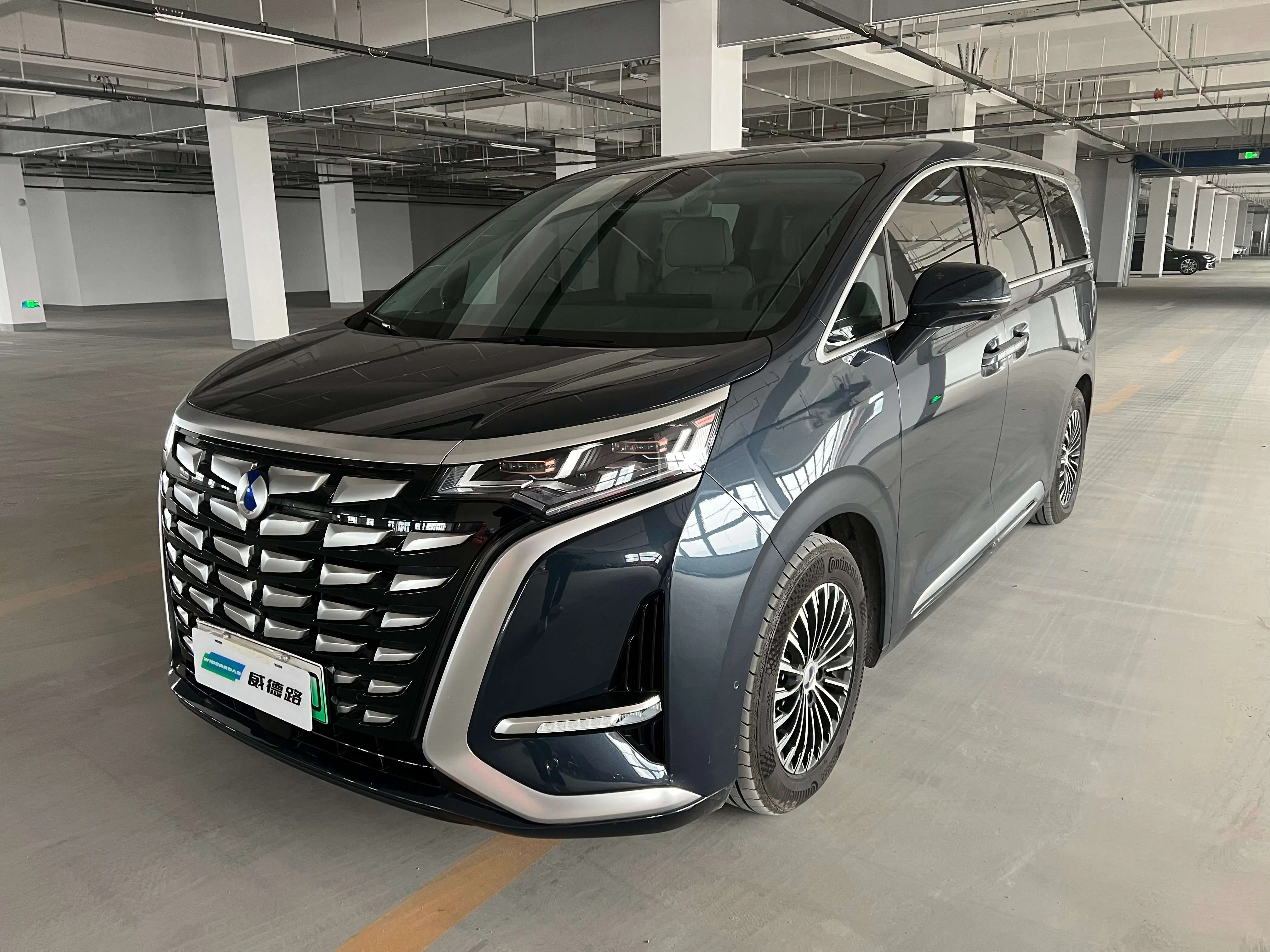 Denza D9 DM  из Китая