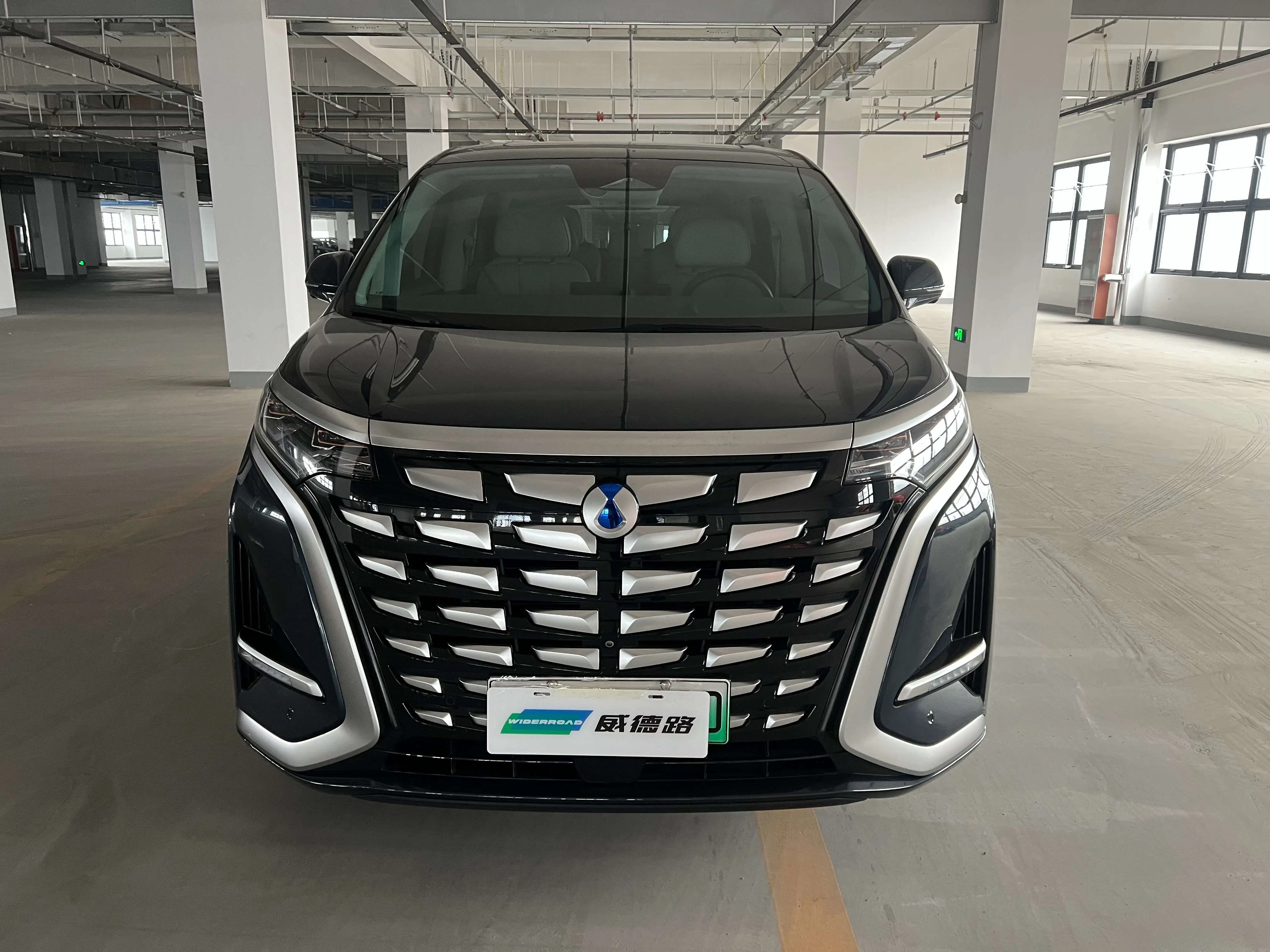 Denza D9 DM  из Китая