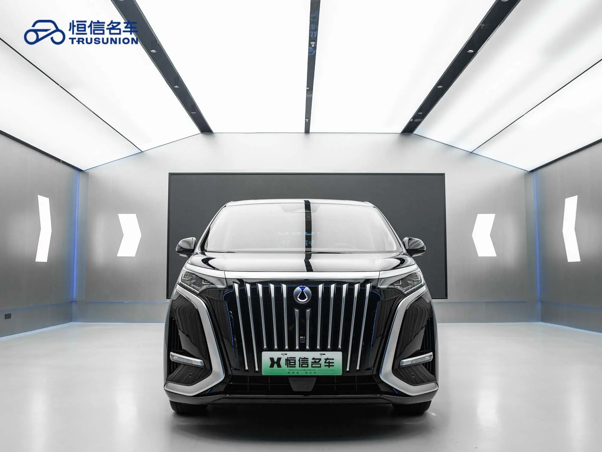 Denza D9 EV  из Китая