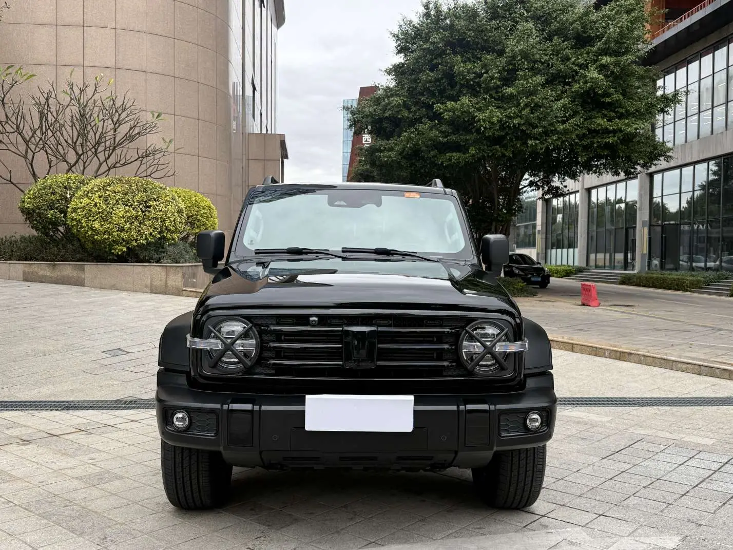 Tank 300  из Китая