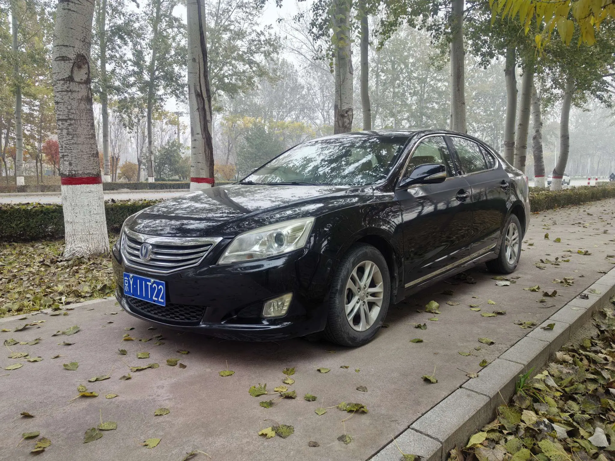 Changan Ruicheng  из Китая