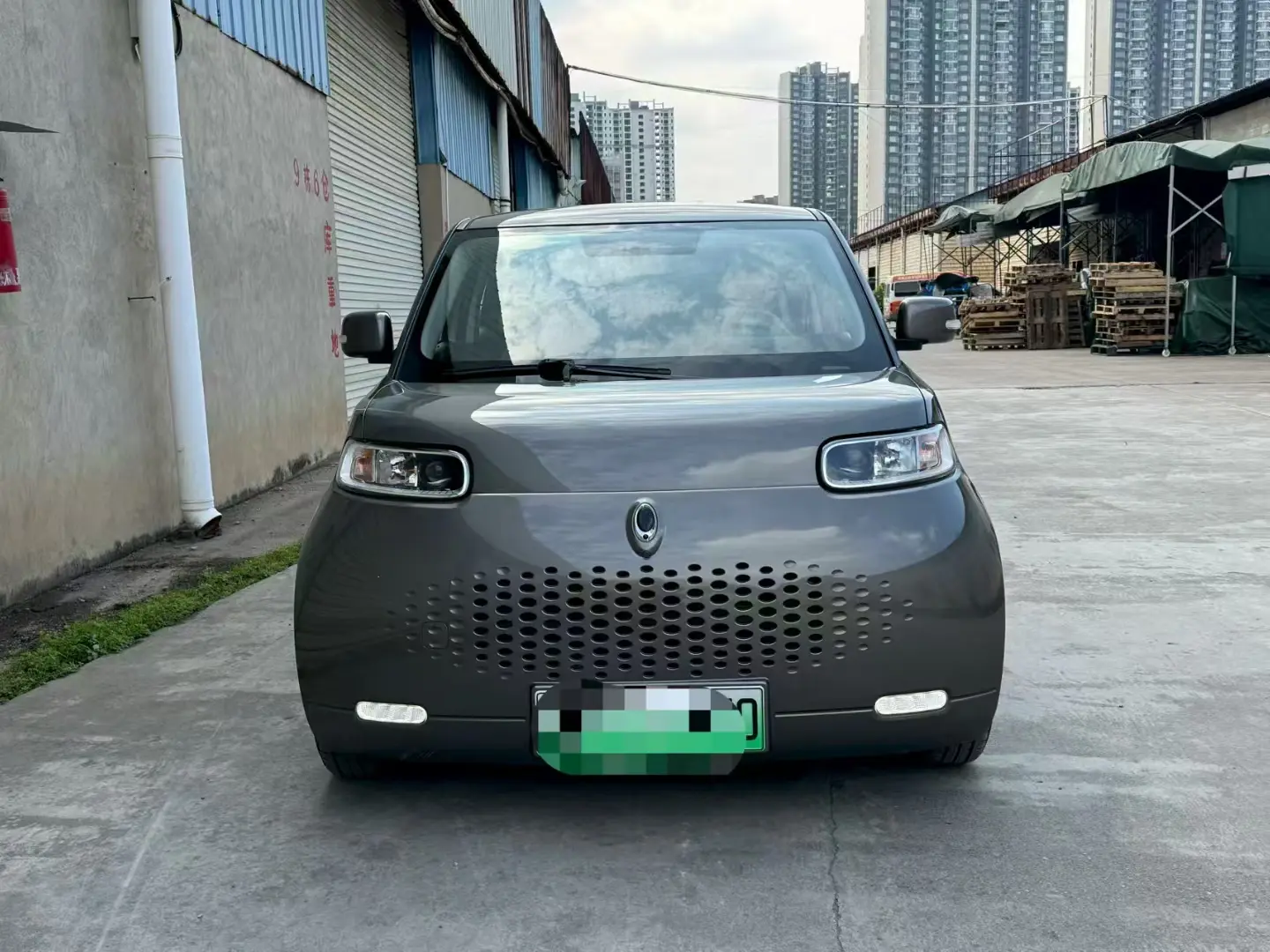 ORA Euler white cat  из Китая