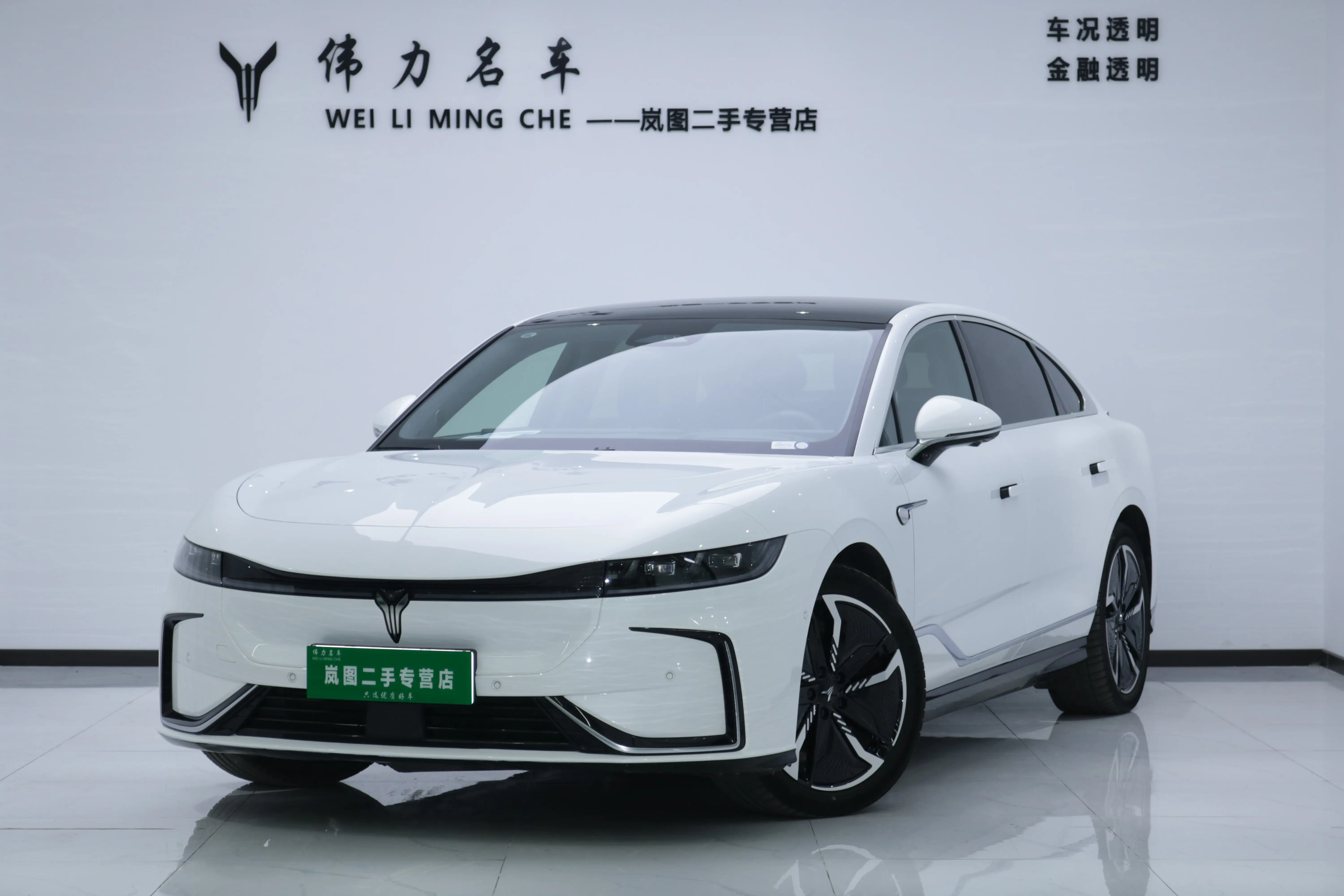 Voyah Passion EV  из Китая