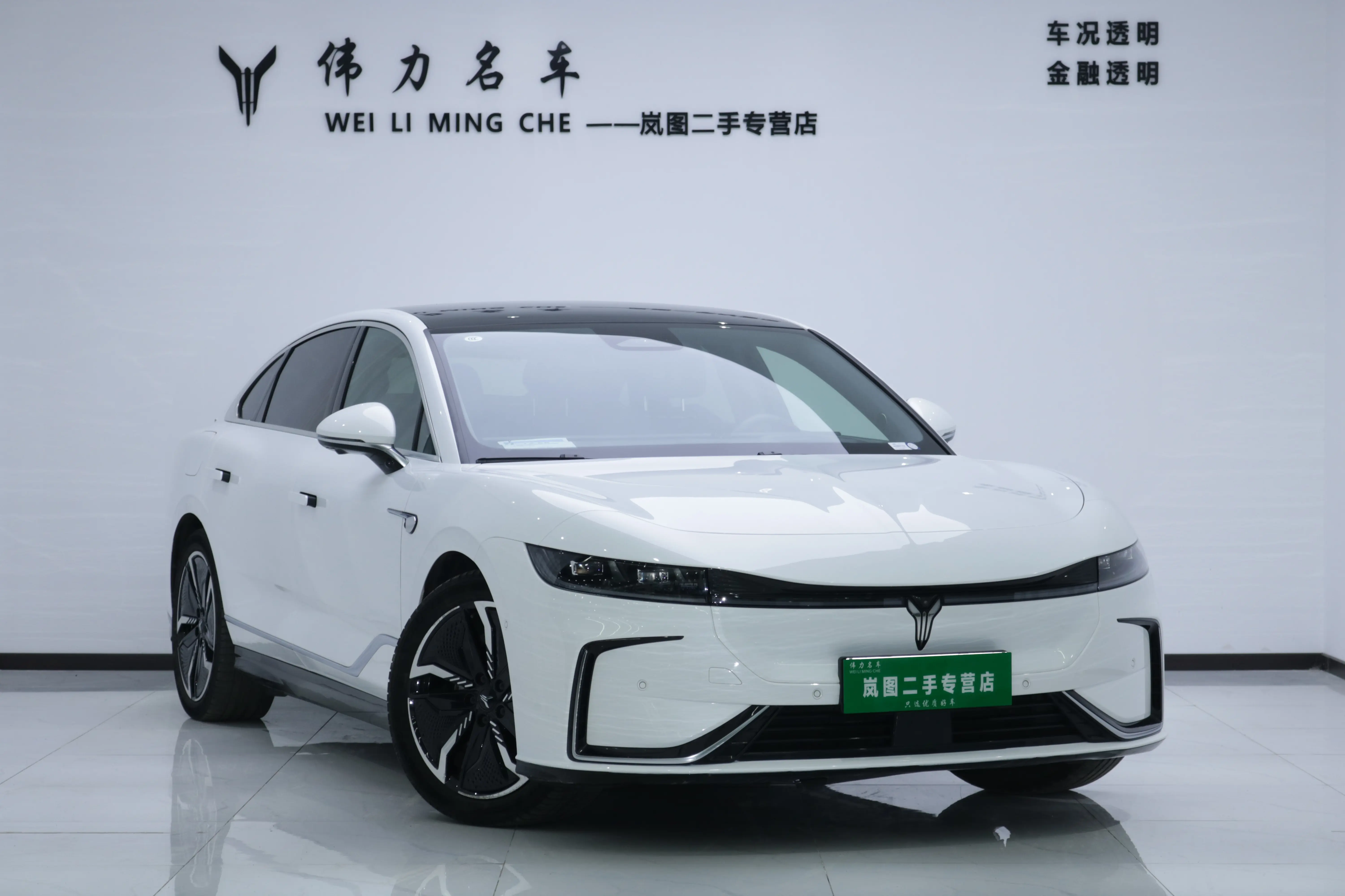 Voyah Passion EV  из Китая