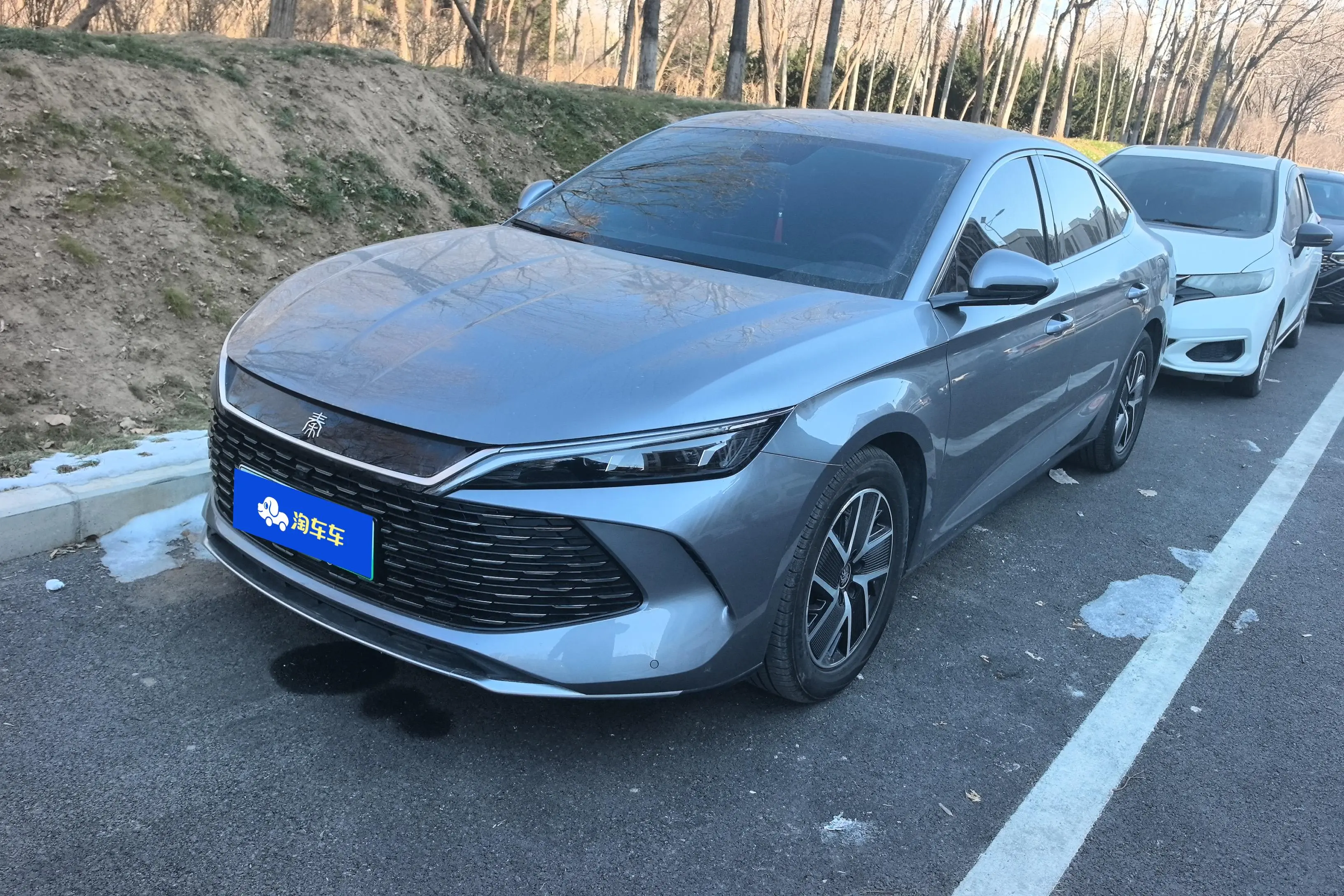 BYD Qin L DM  из Китая