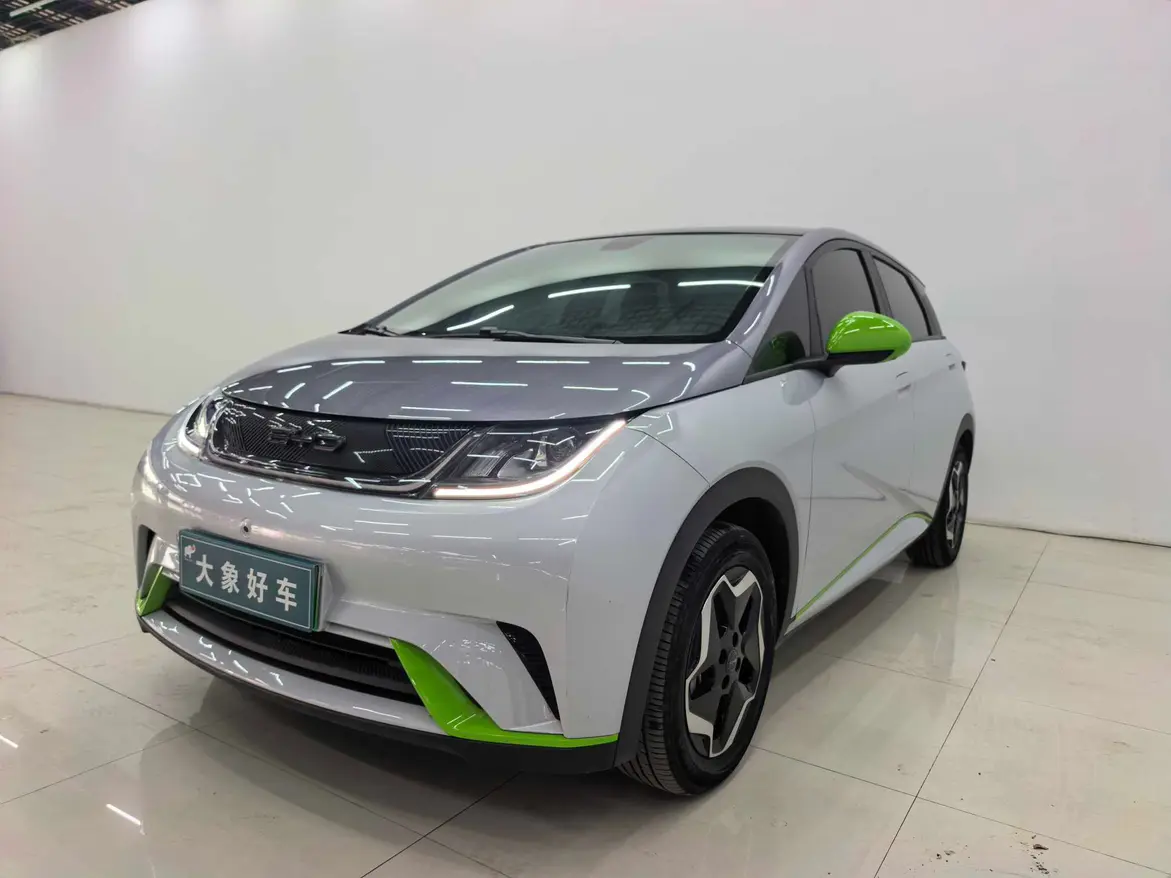 BYD Dolphin  из Китая