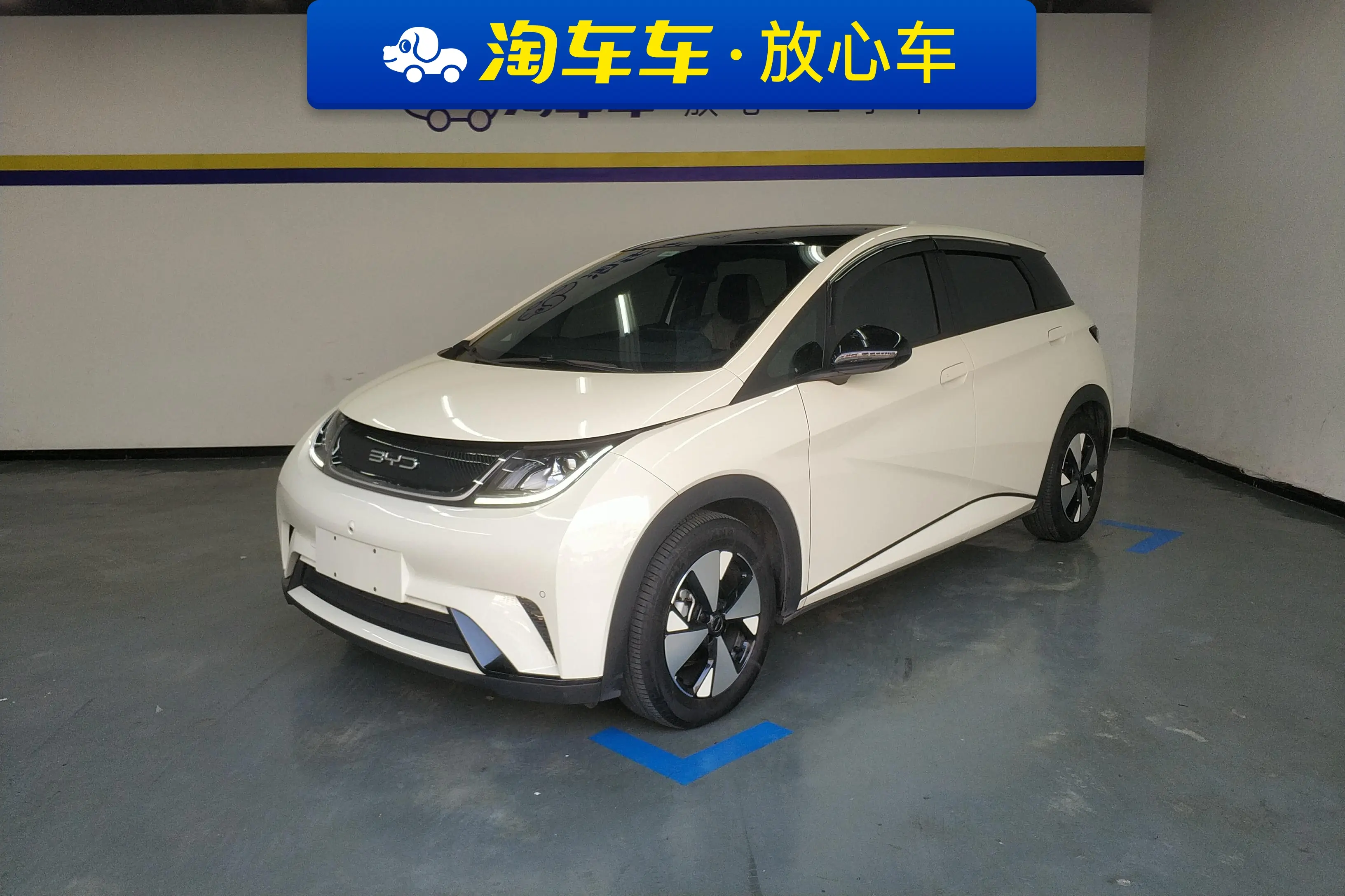BYD Dolphin  из Китая