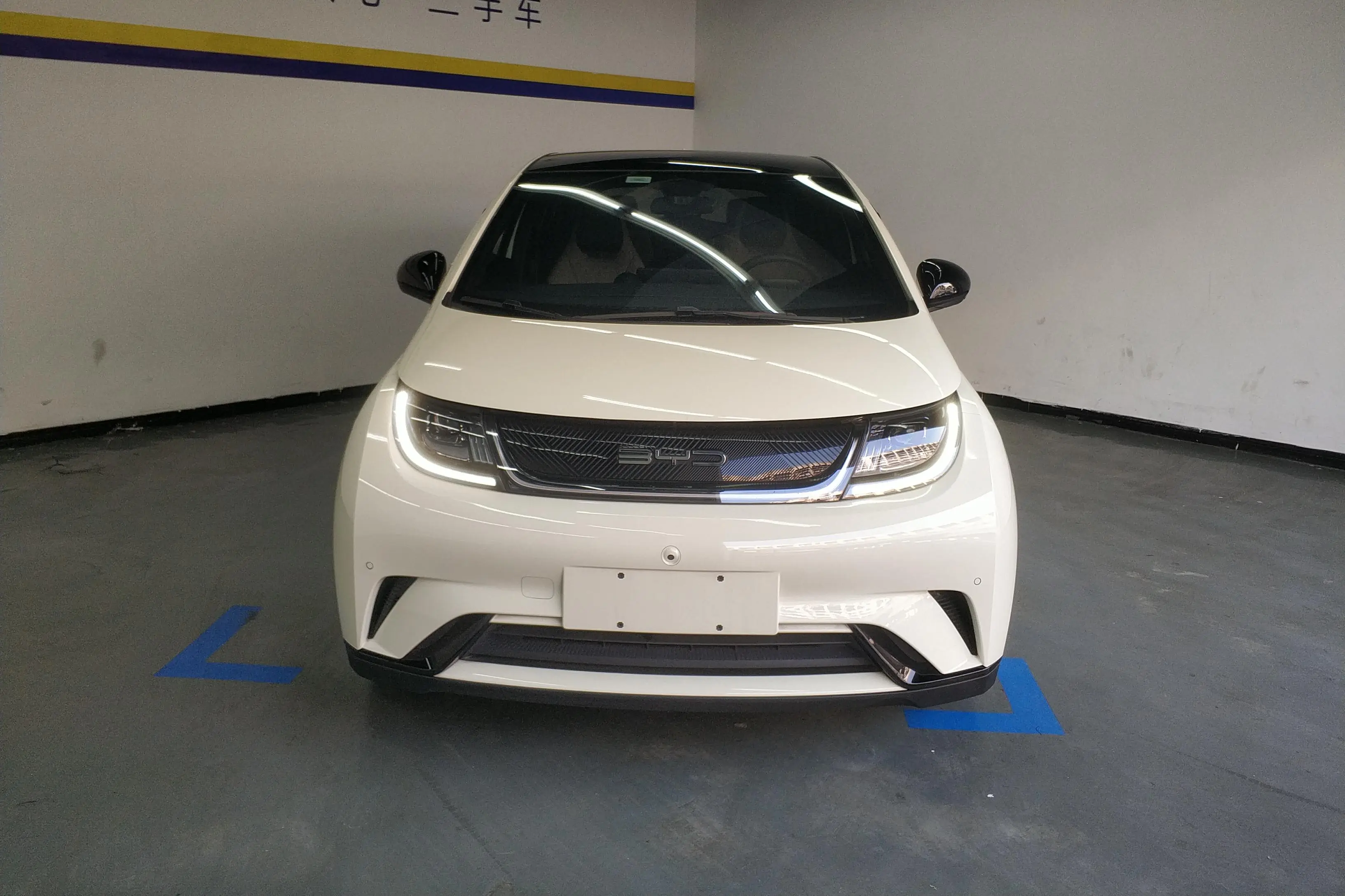 BYD Dolphin  из Китая