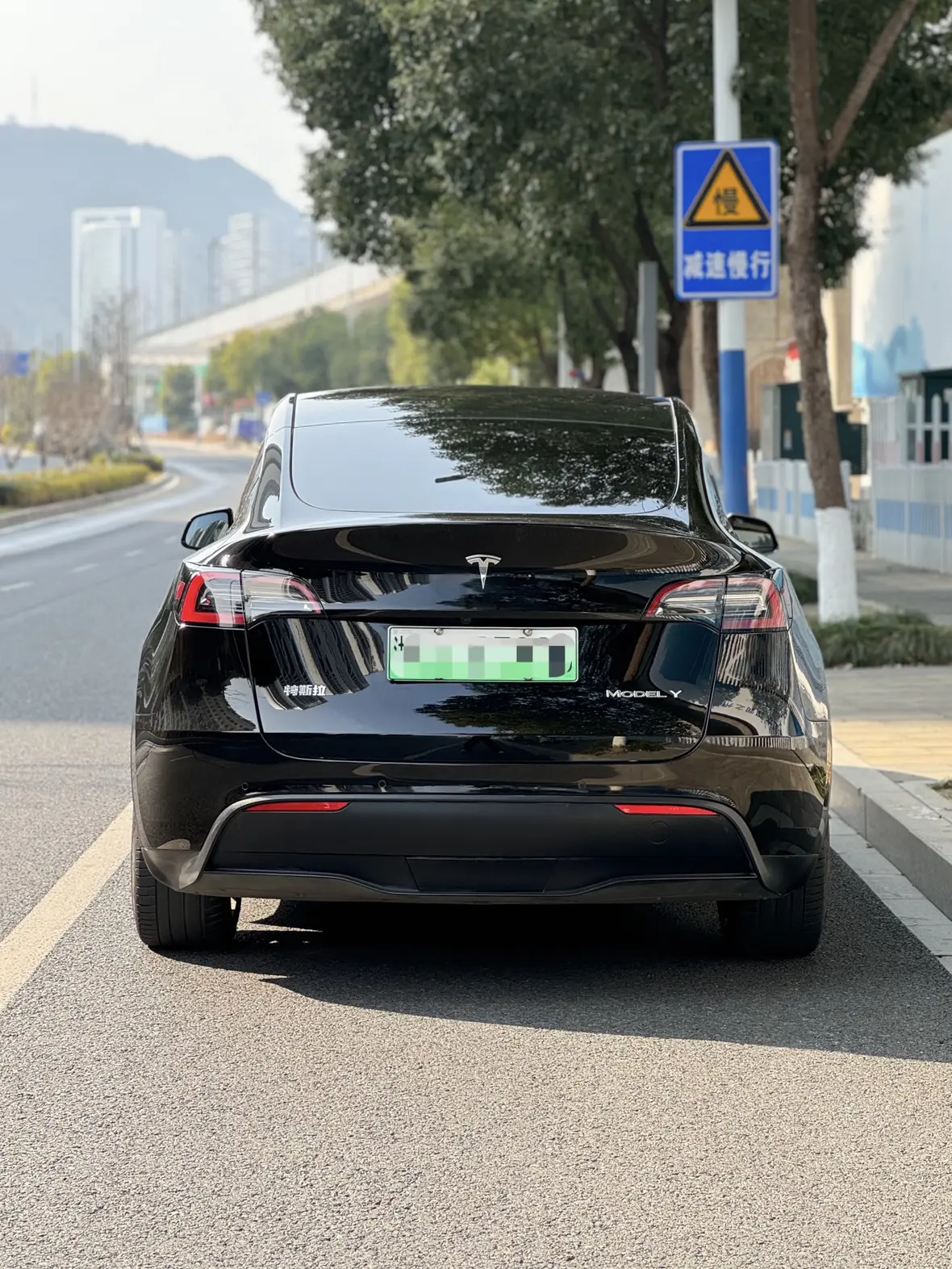 Tesla Model Y  из Китая