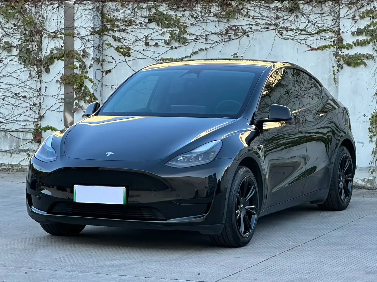 Tesla Model Y  из Китая