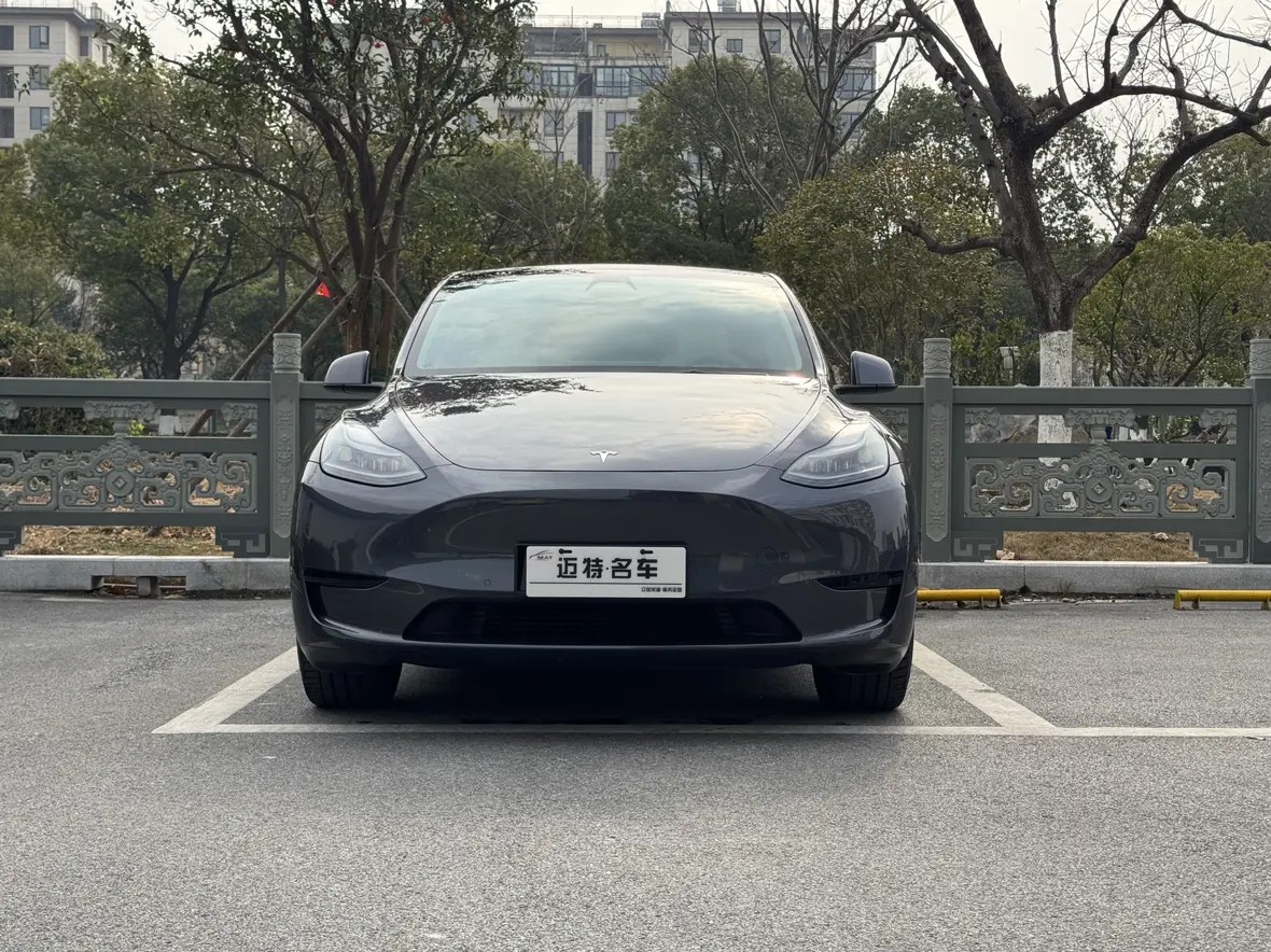 Tesla Model Y  из Китая