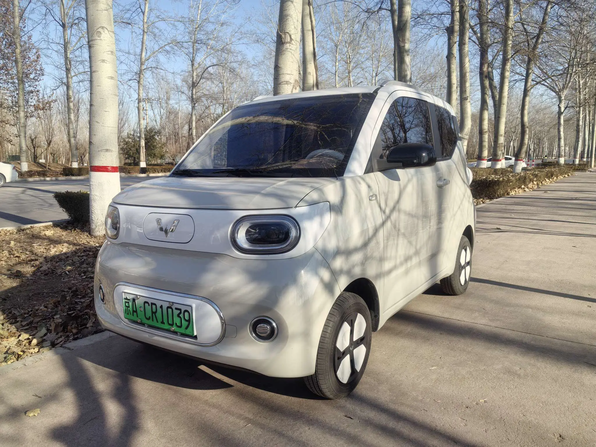 Wuling Hongguang MINIEV  из Китая