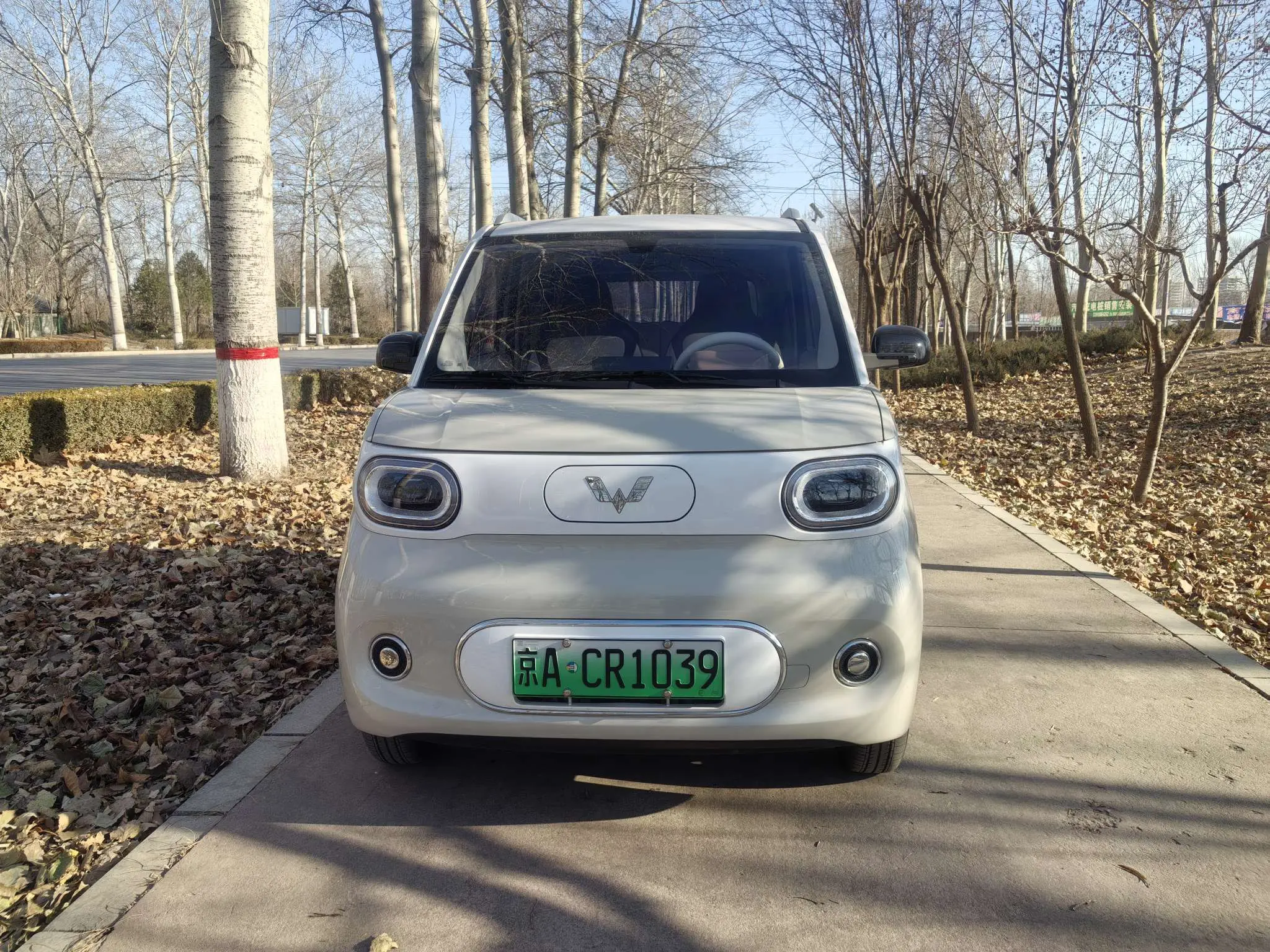 Wuling Hongguang MINIEV  из Китая