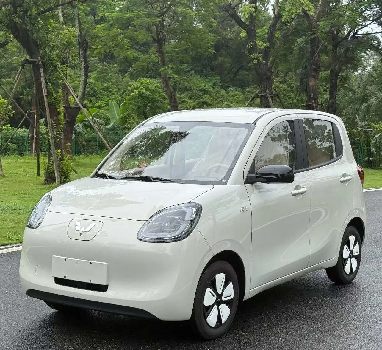 Wuling Hongguang MINIEV  из Китая