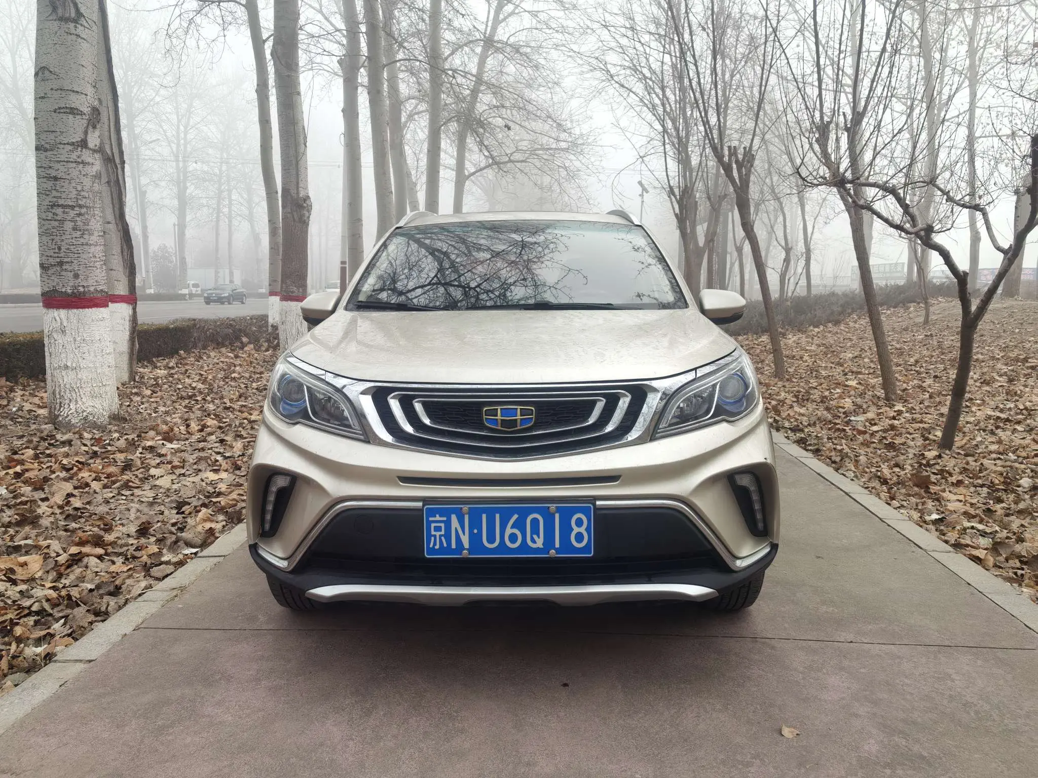 Geely Vision X3  из Китая