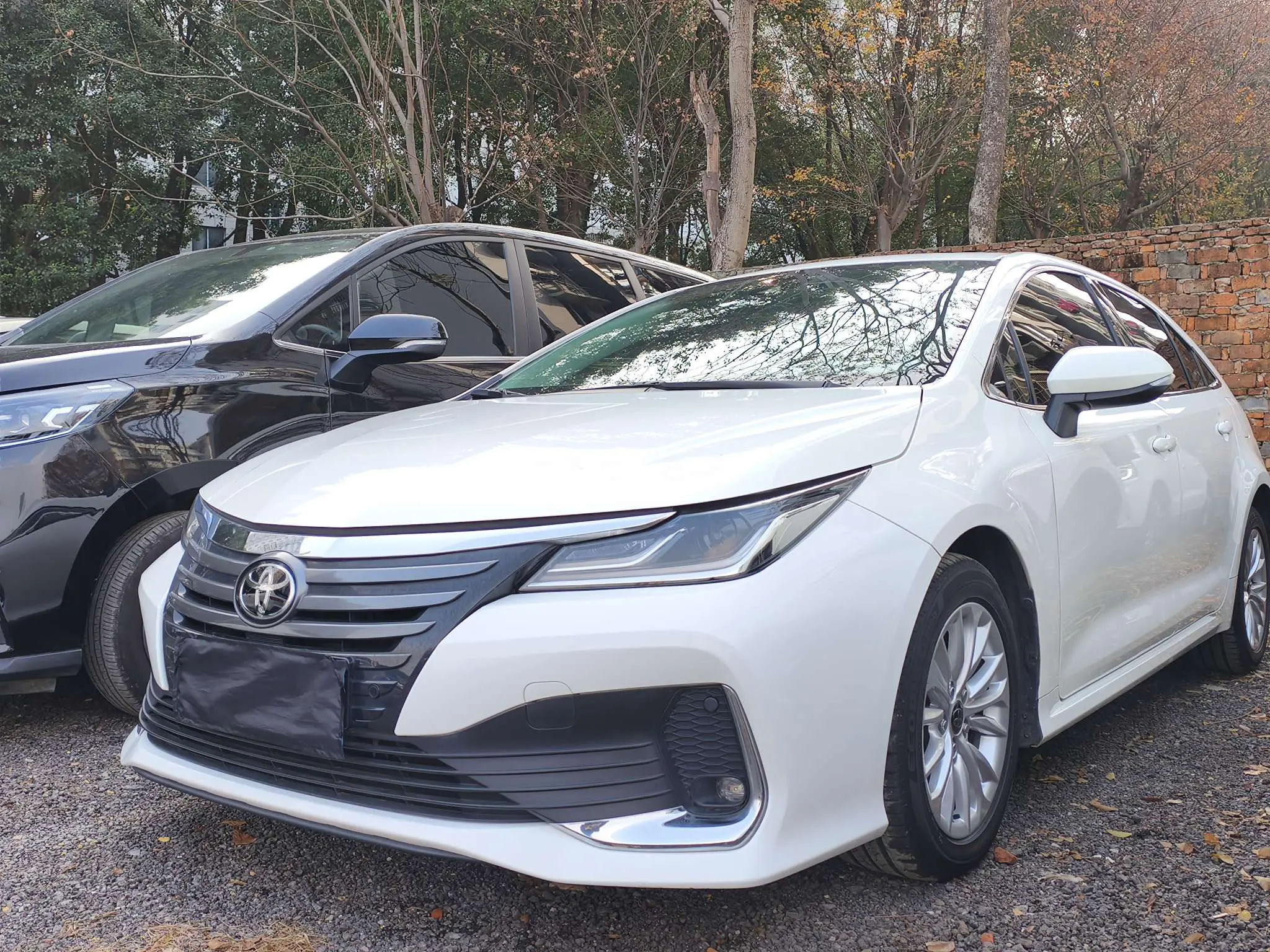 Toyota Asiatic lion  из Китая