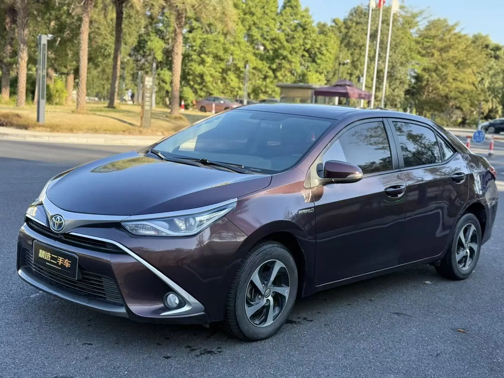 Toyota Levin (Lei Ling)  из Китая