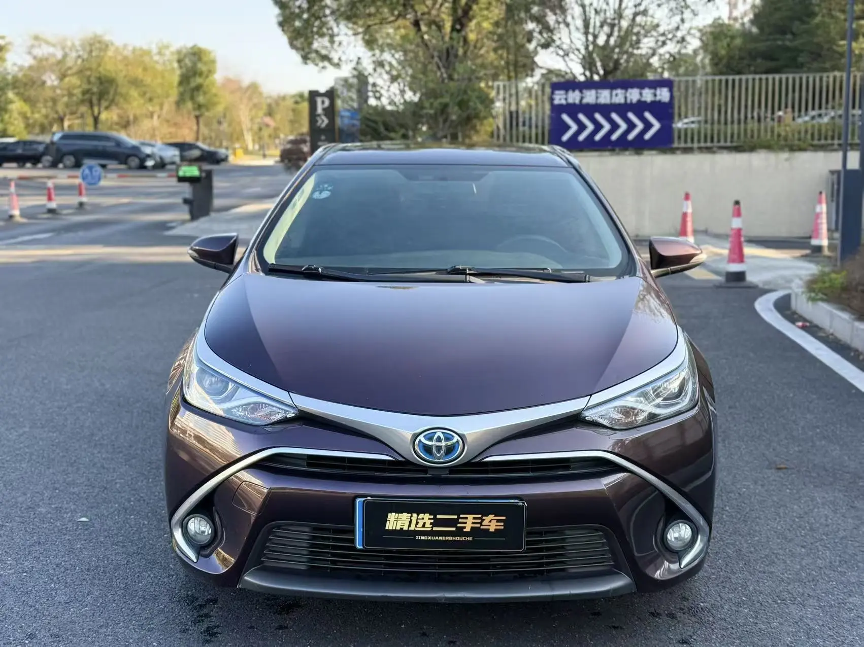 Toyota Levin (Lei Ling)  из Китая