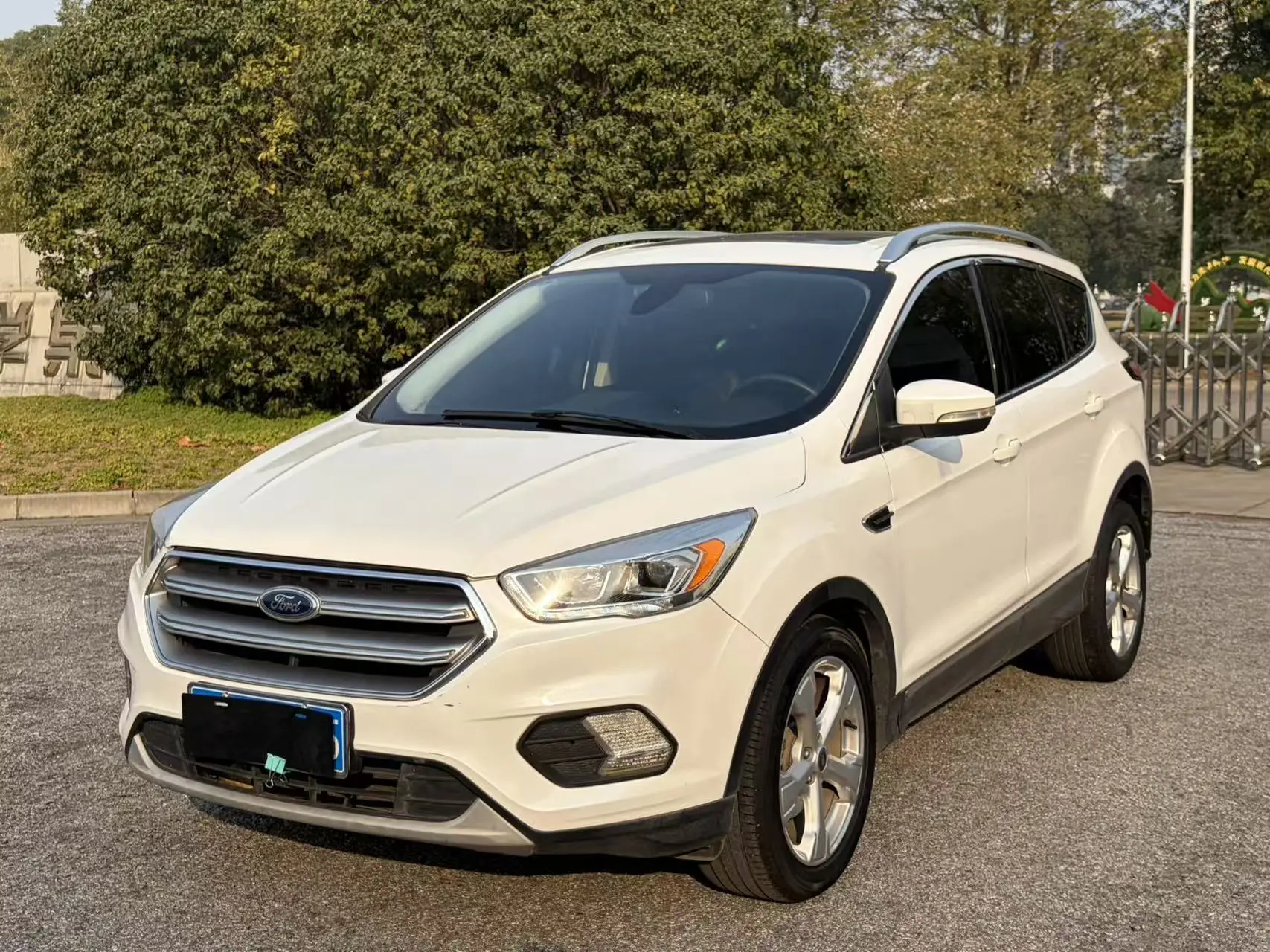 Ford Wing tiger  из Китая