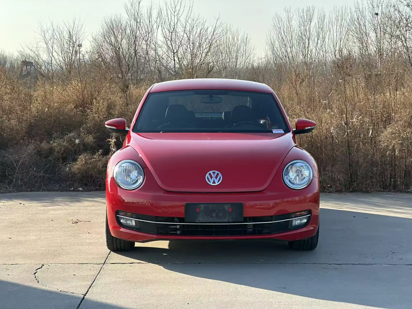 Volkswagen Beetle  из Китая