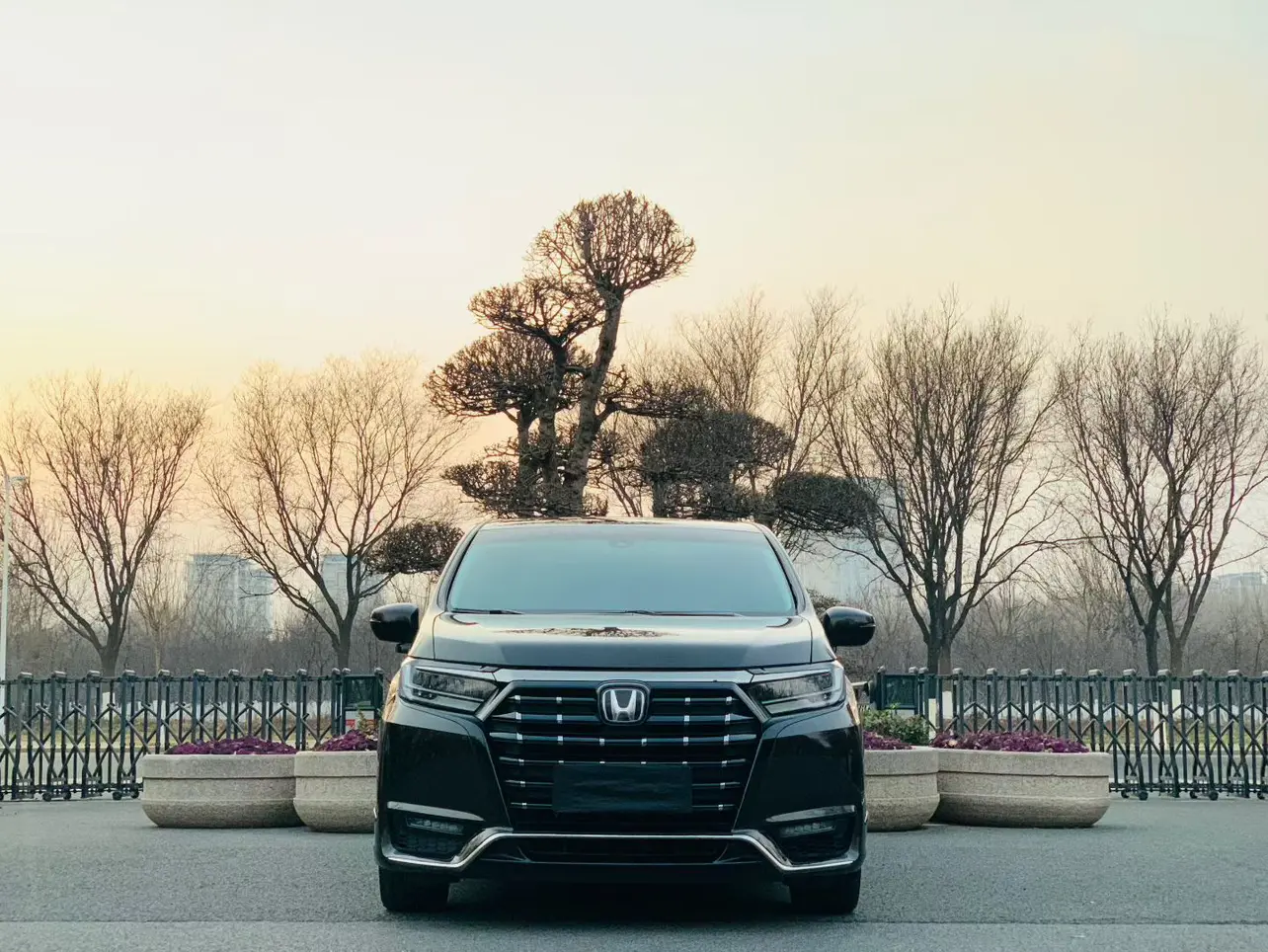 Honda Elysion (Alison)  из Китая