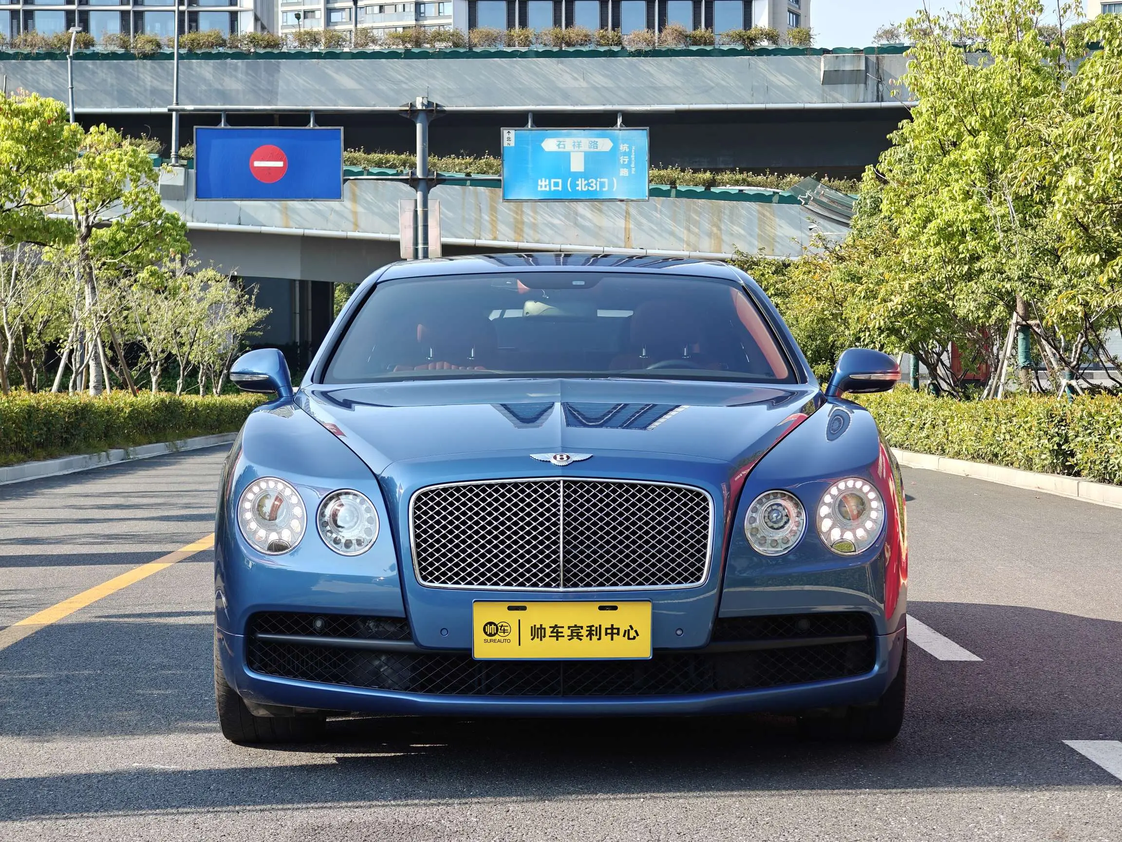 Bentley Galloping