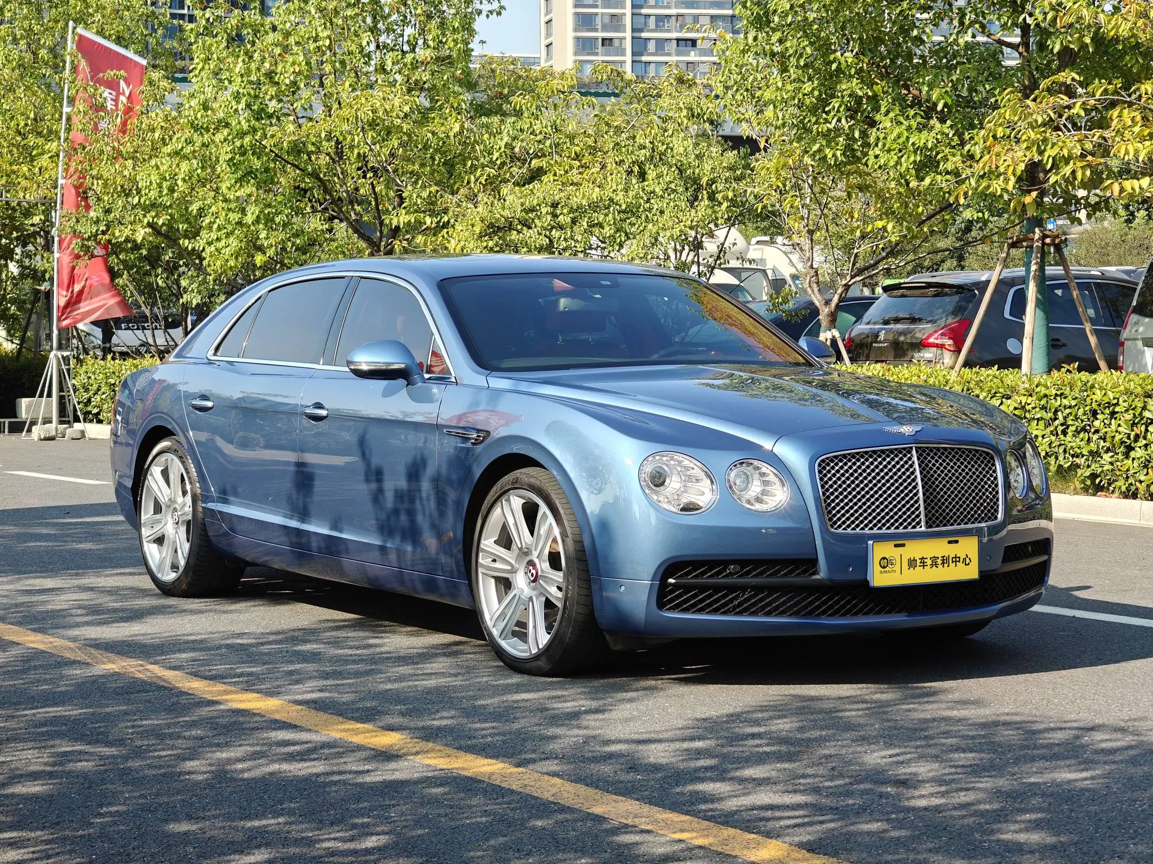 Bentley Galloping
