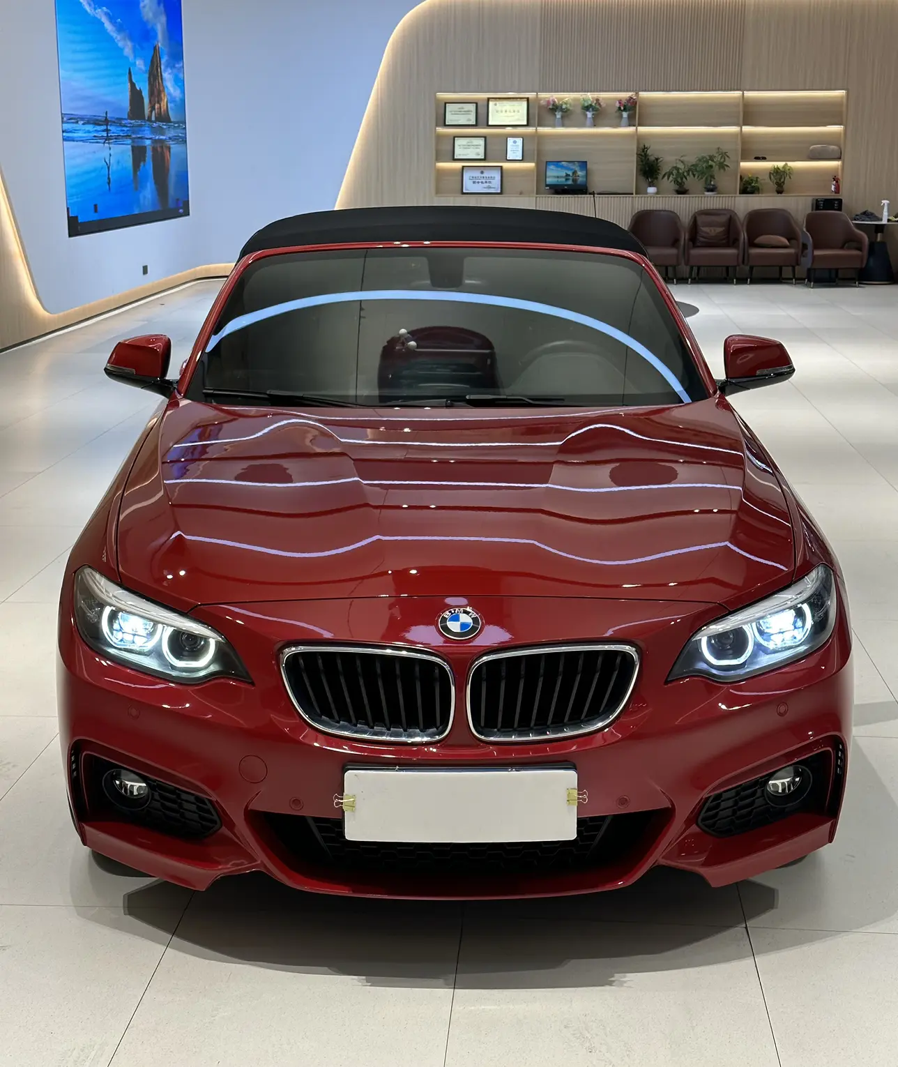 BMW 2 Series  из Китая