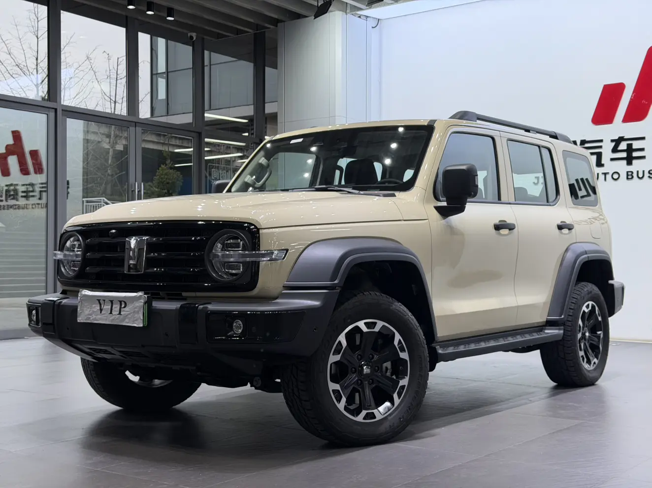 Tank 300 Hi4-T  из Китая