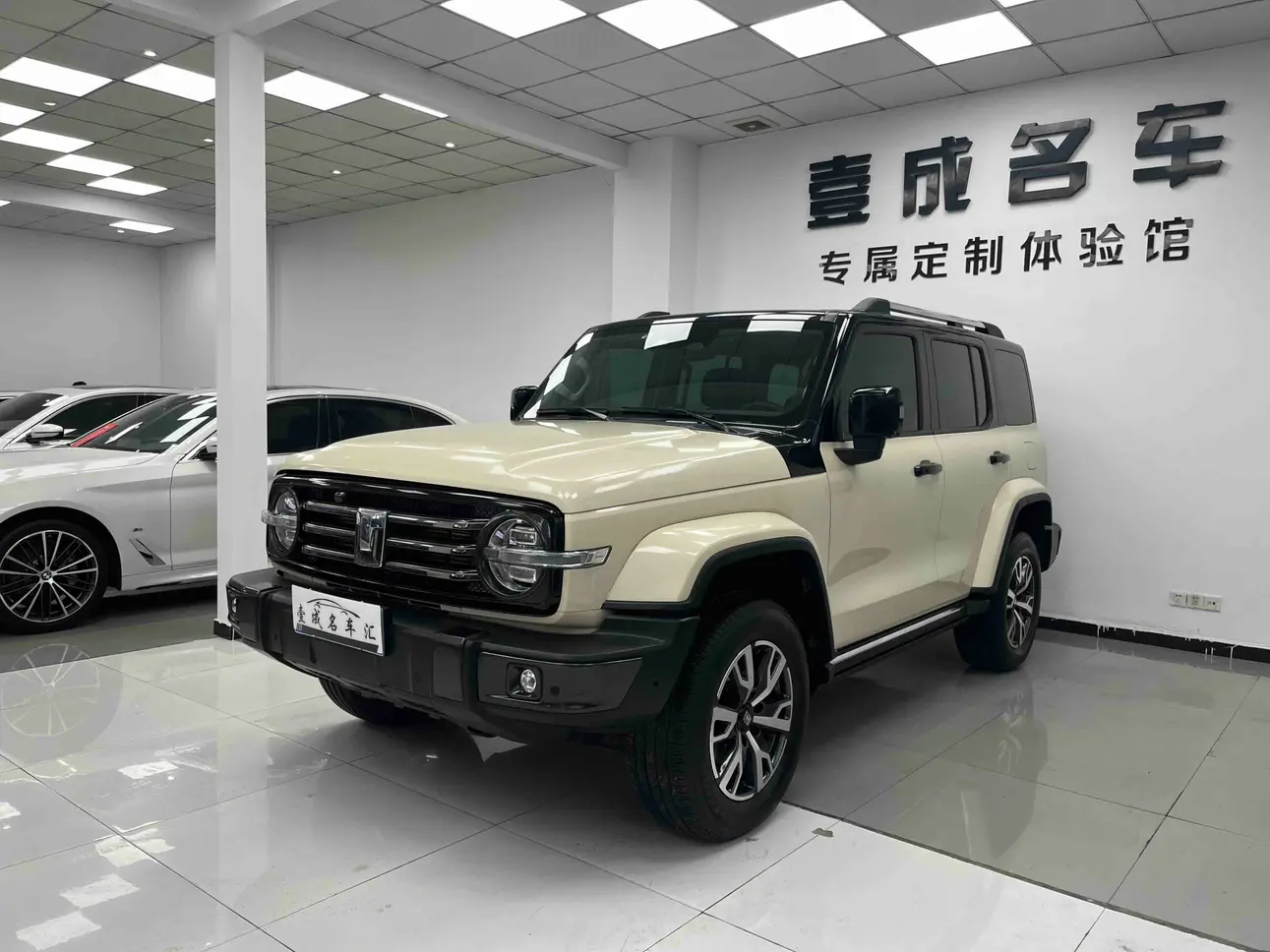 Tank 300  из Китая