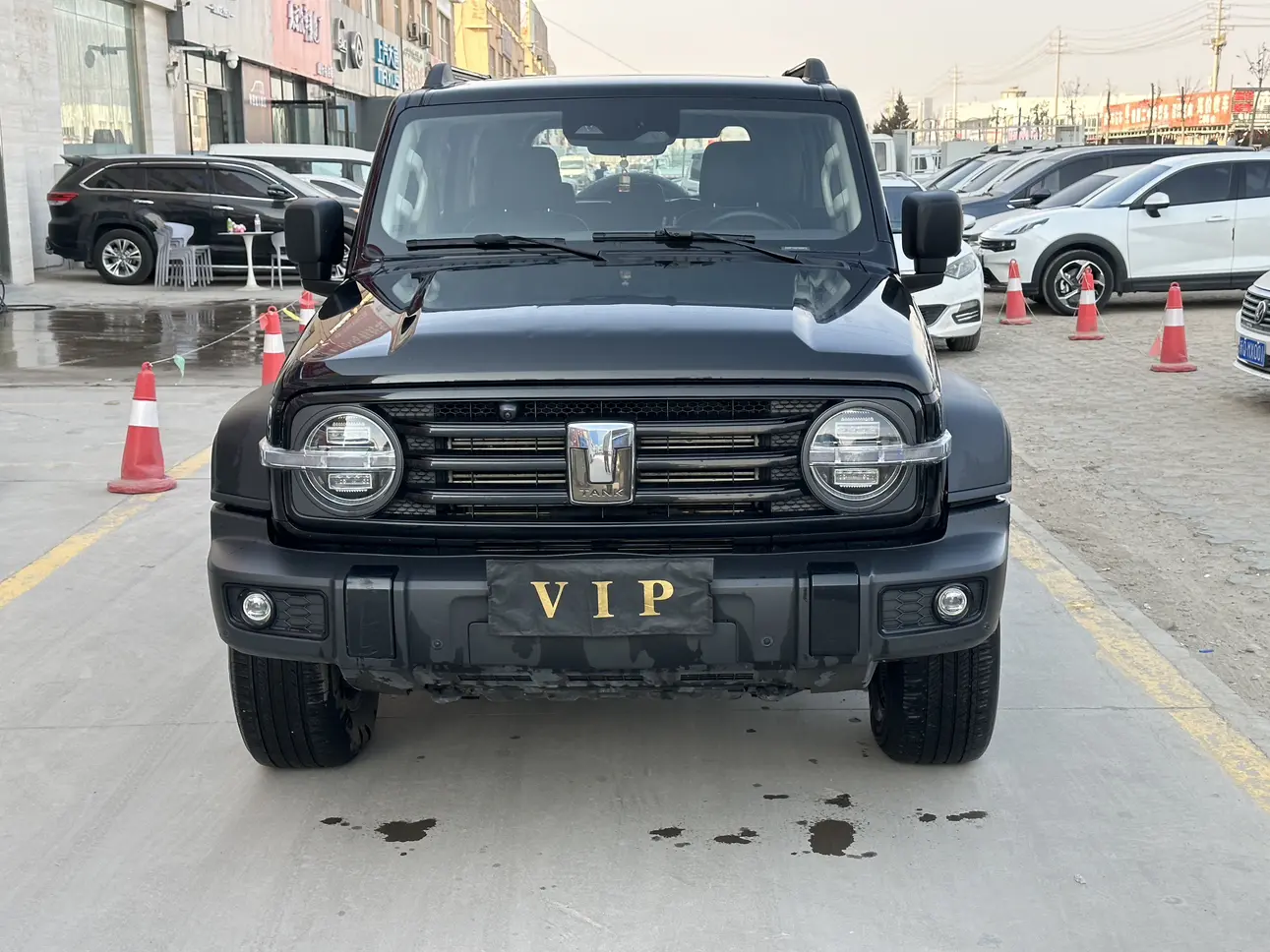 Tank 300  из Китая