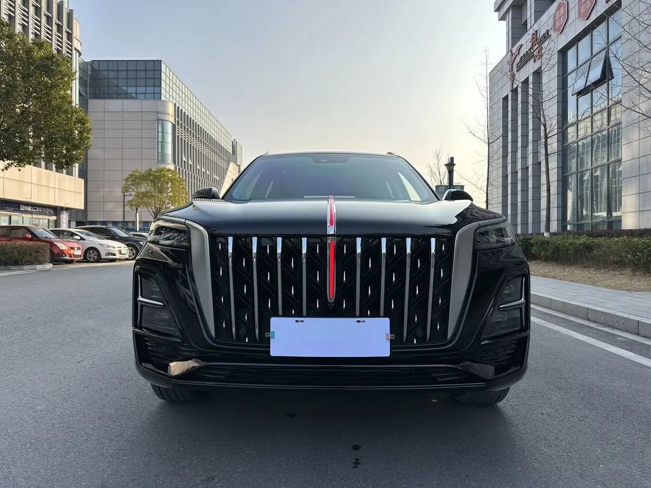 Hongqi HS5  из Китая