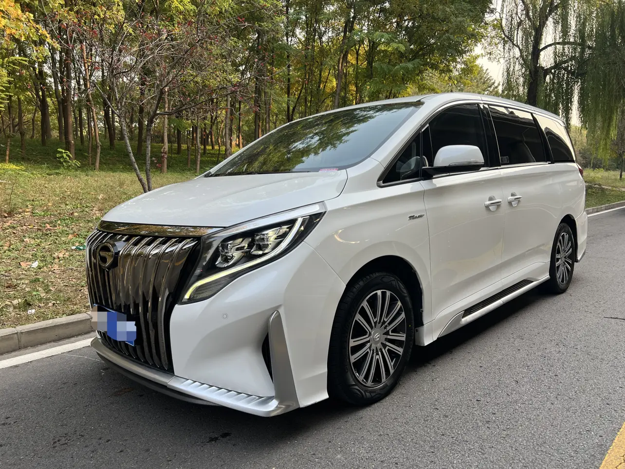 GAC Trumpchi M8  из Китая