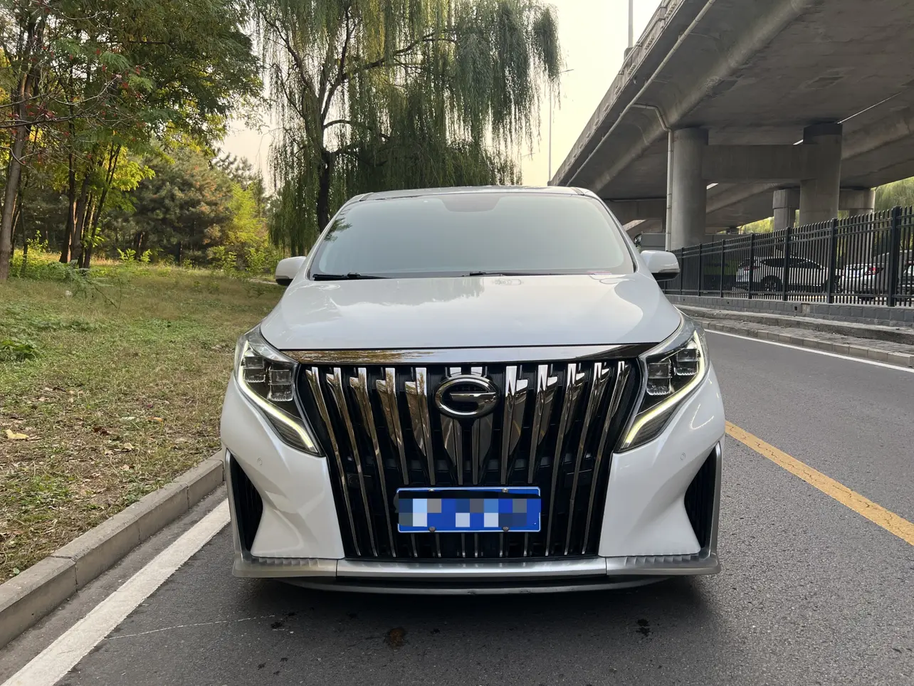 GAC Trumpchi M8  из Китая