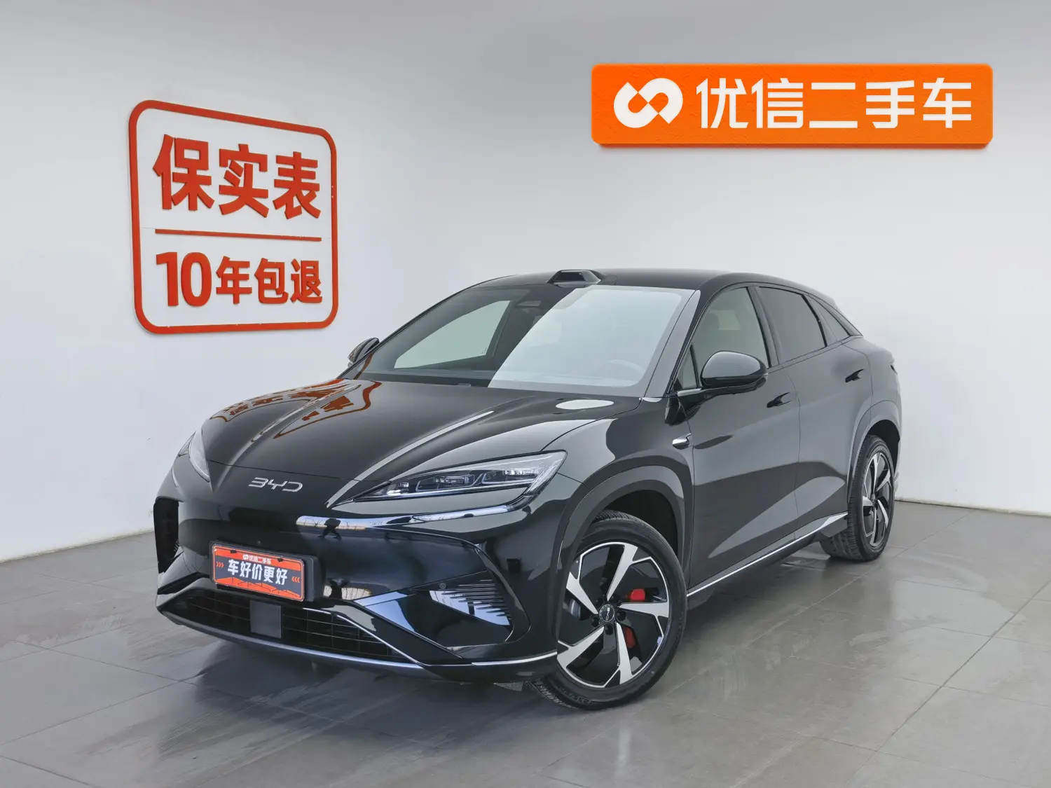 BYD Sea Lion 07EV  из Китая