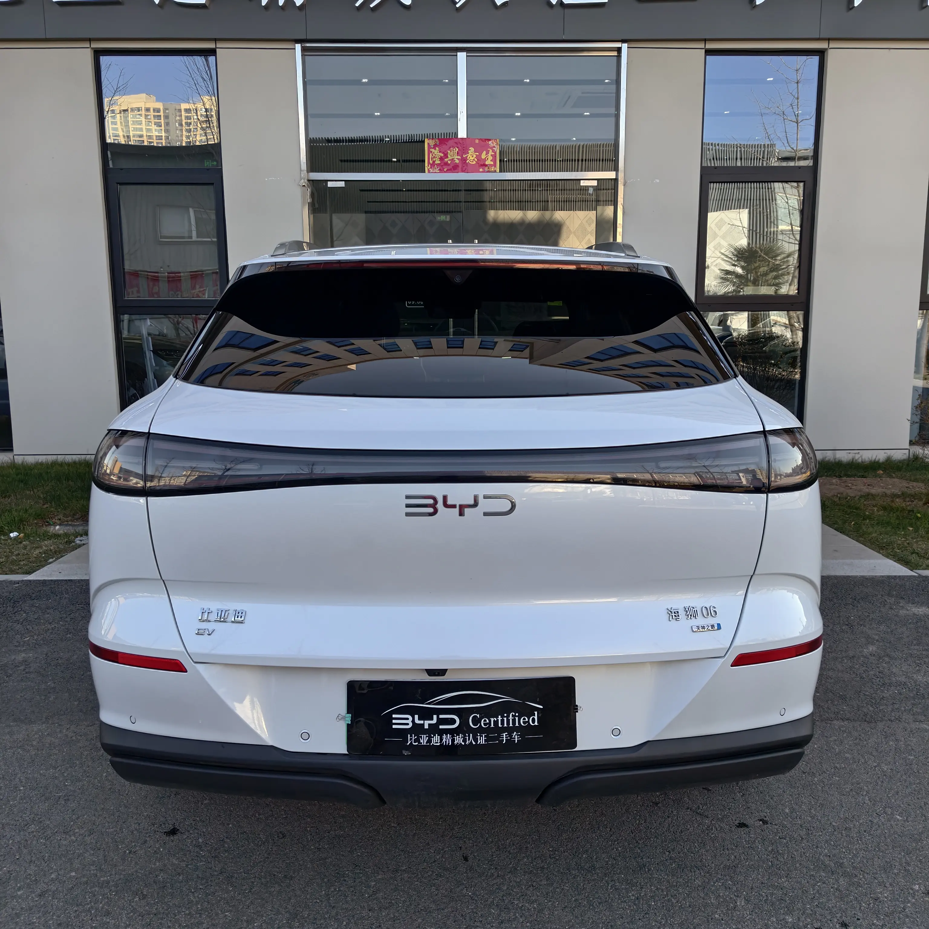 BYD Sea Lion 06EV  из Китая