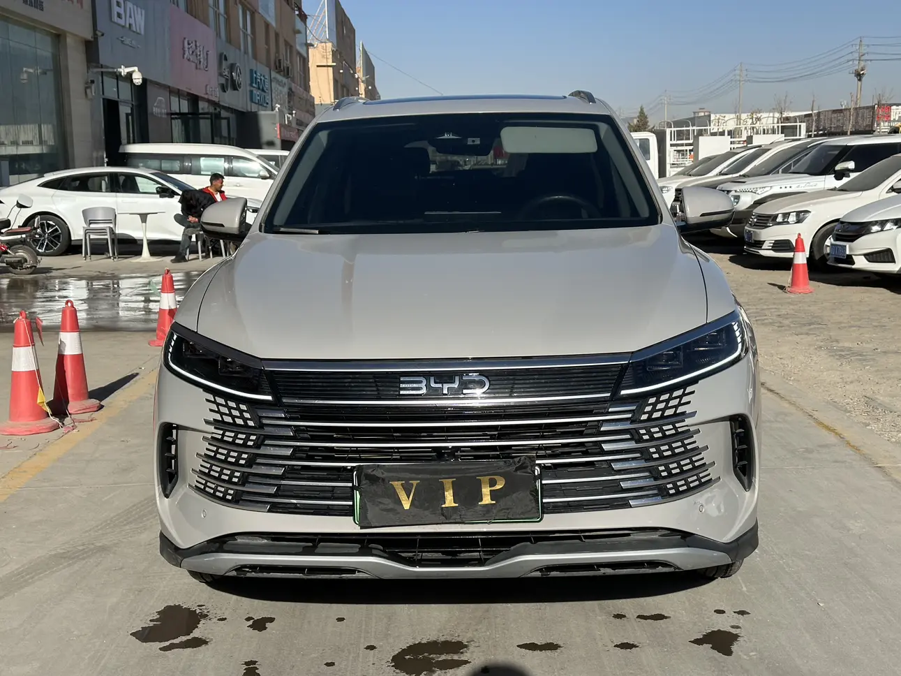 BYD Sea Lion 05DM  из Китая