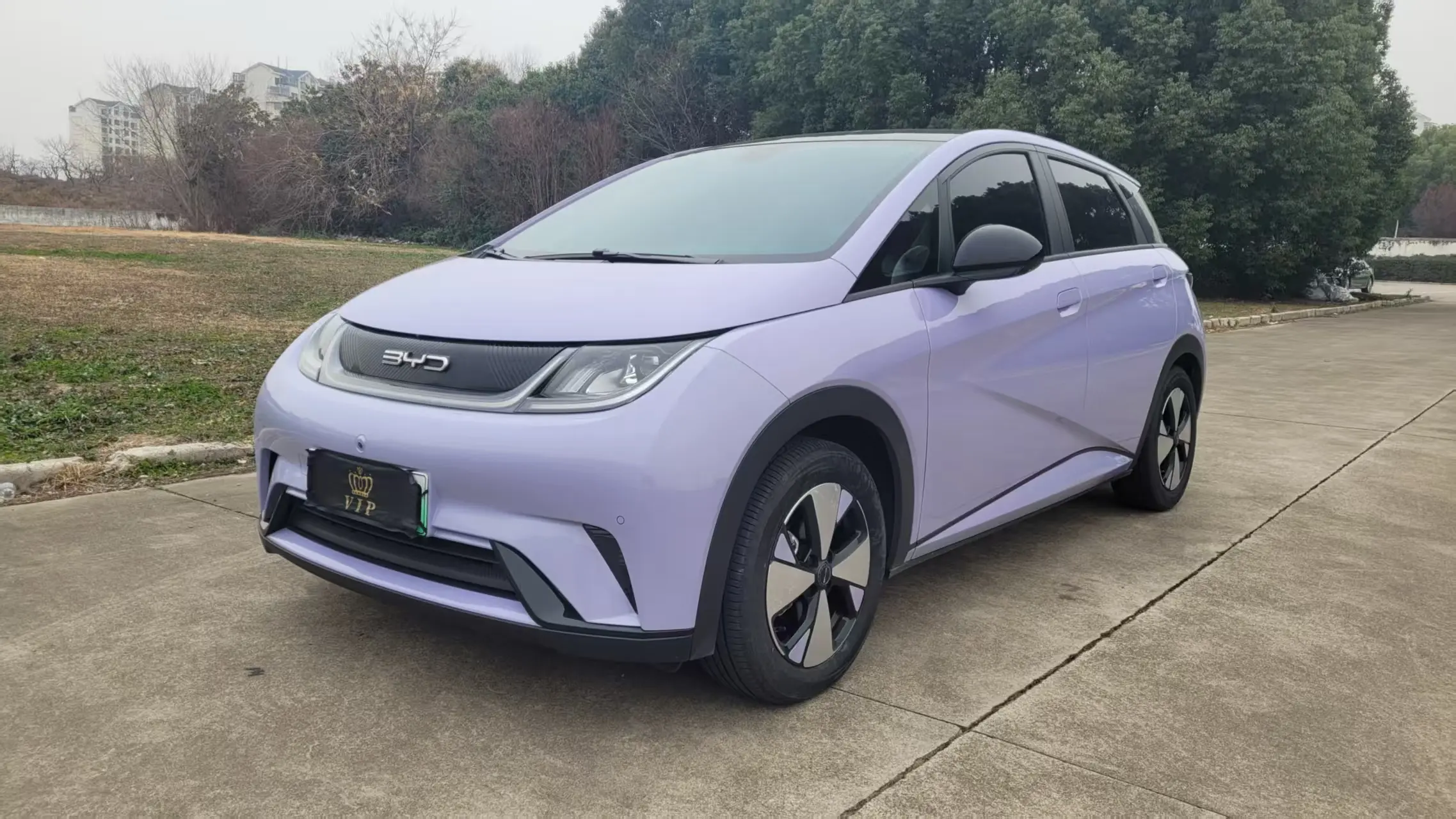 BYD Dolphin  из Китая