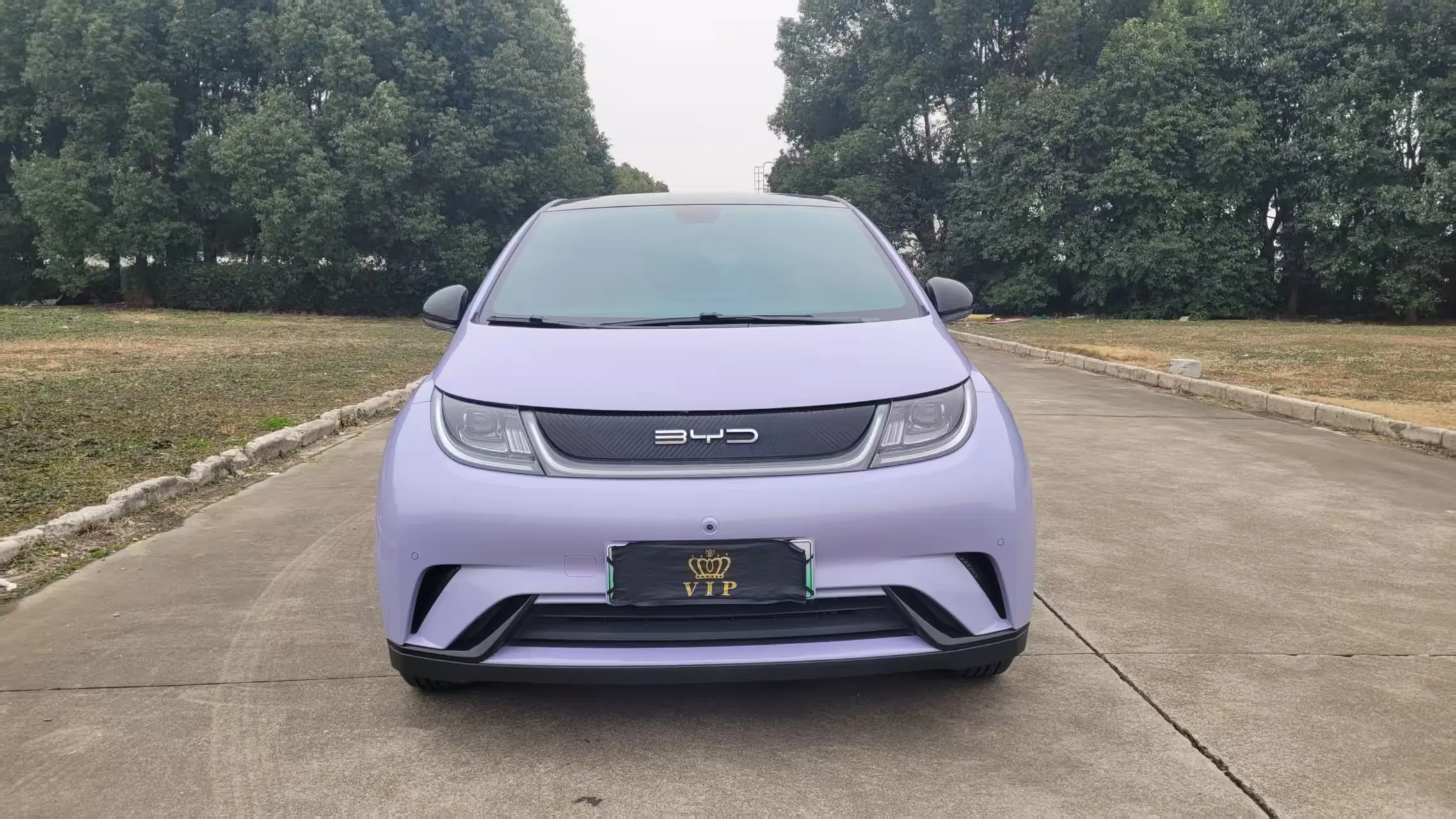 BYD Dolphin  из Китая