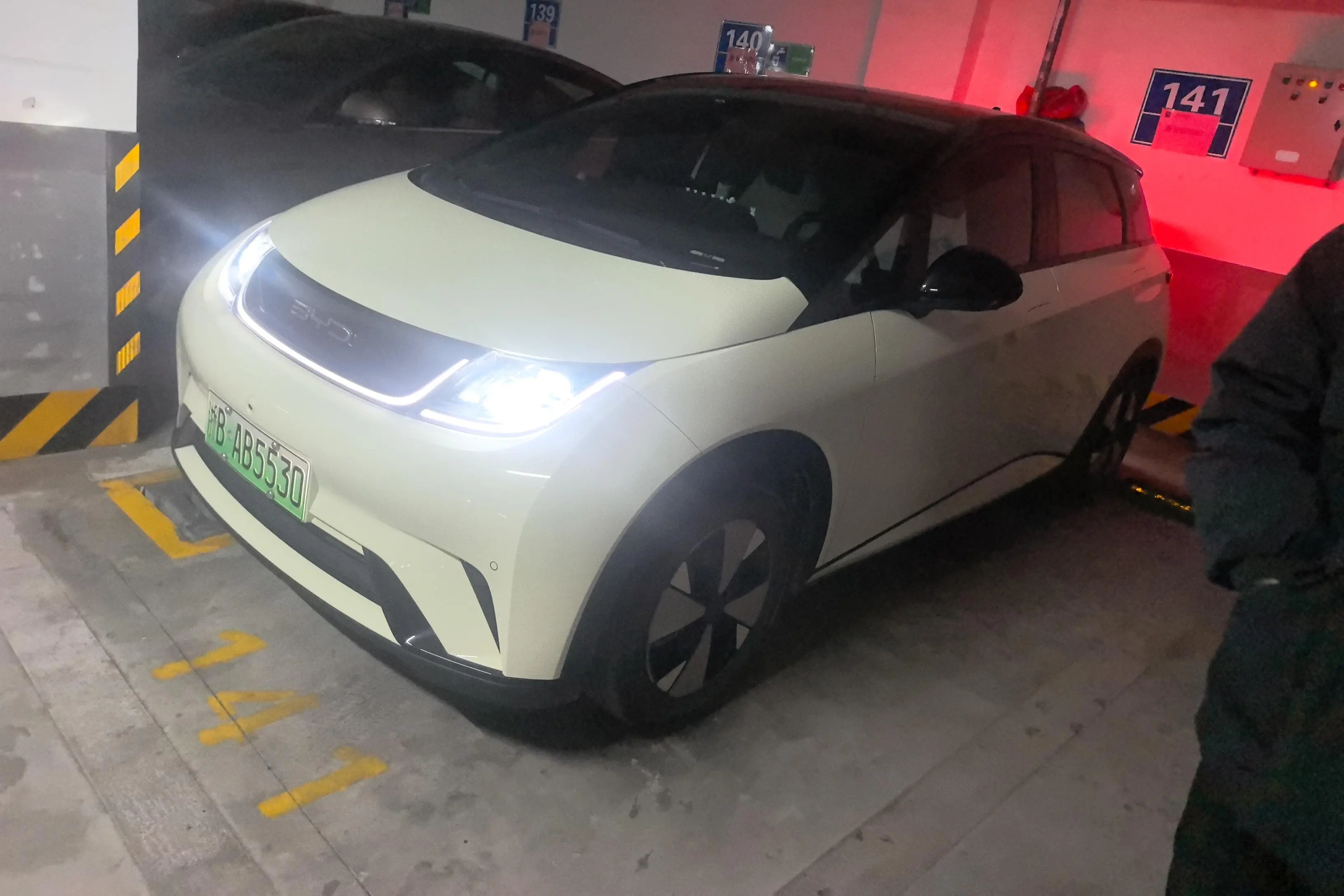 BYD Dolphin  из Китая