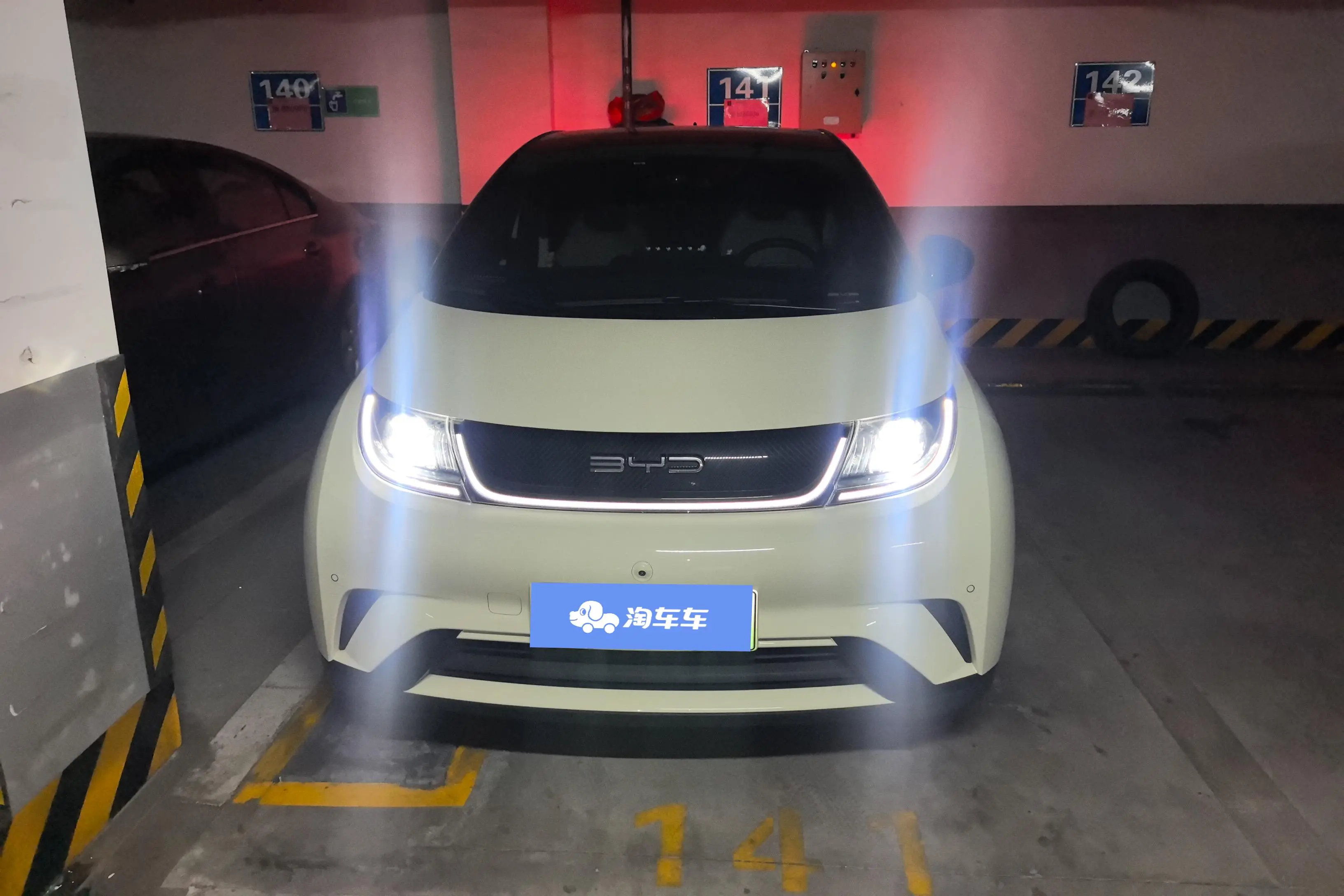 BYD Dolphin  из Китая